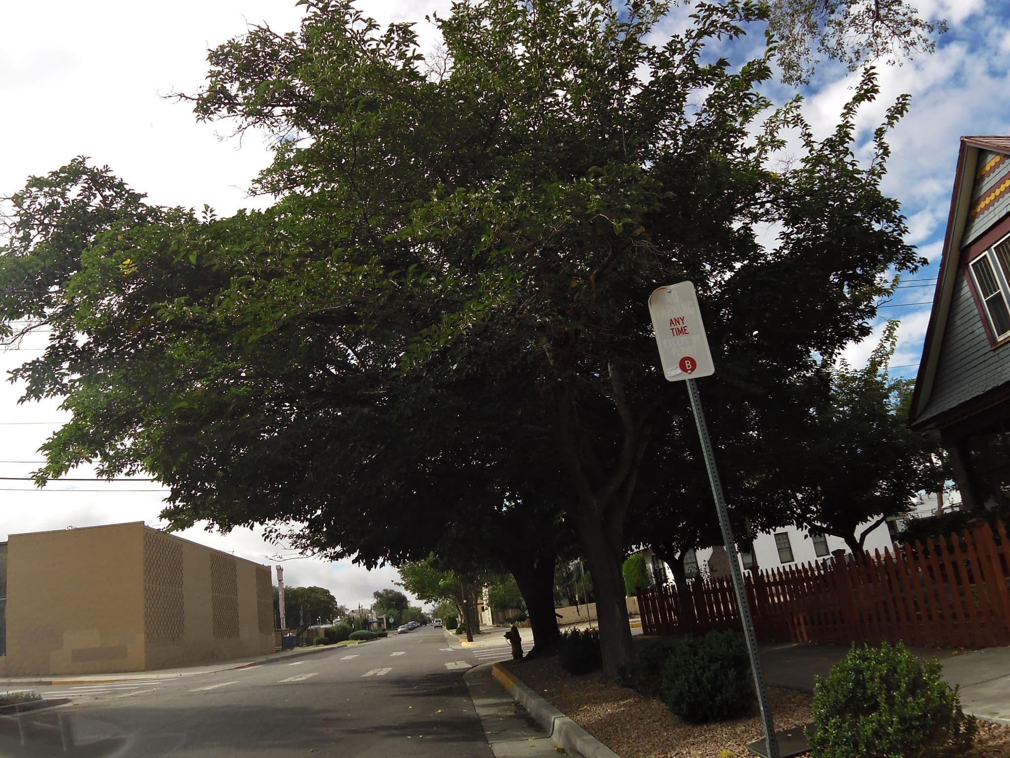 Street view near Boarding House, Albuquerque — © andrewsnow (CC BY-SA · Mapillary)