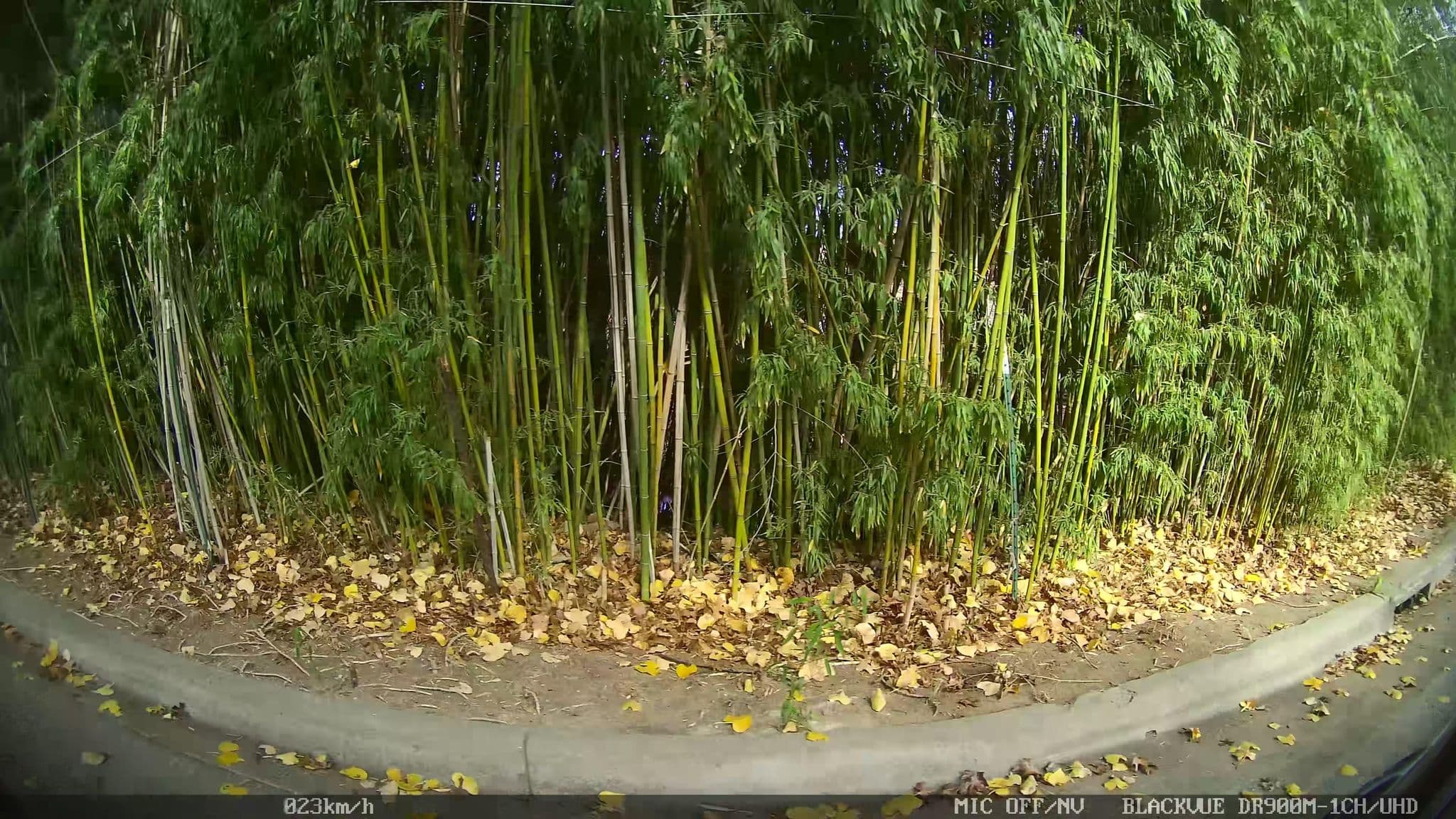 Street view near Water Roost, Dallas — © piligab (CC BY-SA · Mapillary)