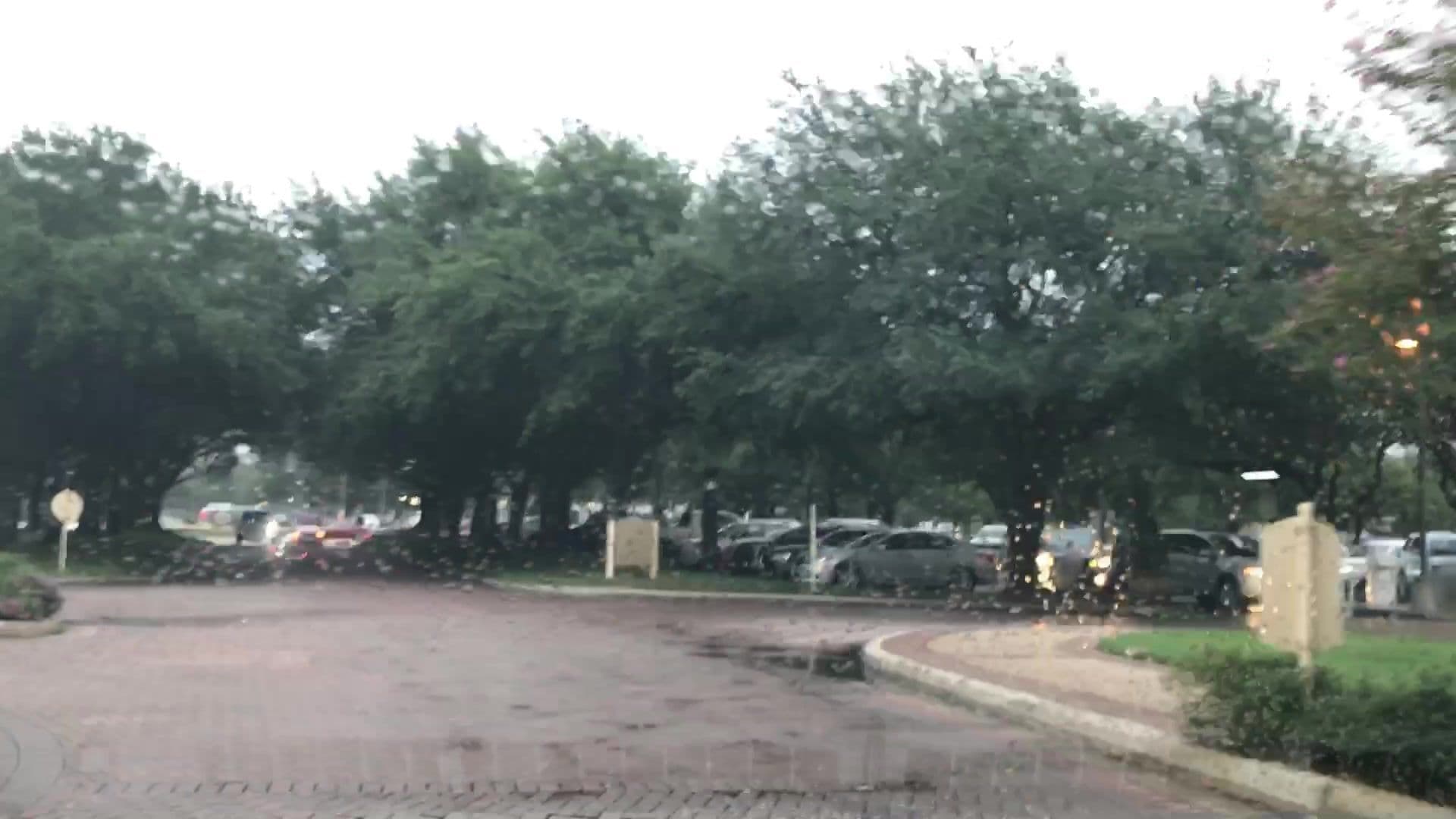 Street view near SMU Atheletic Forum, Dallas — © lvl5 (CC BY-SA · Mapillary)