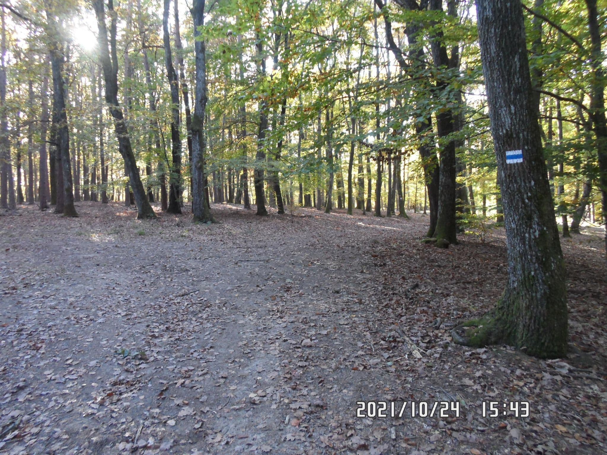 Street view near Erdei ház, Turnišče — © FODORP (CC BY-SA · Mapillary)