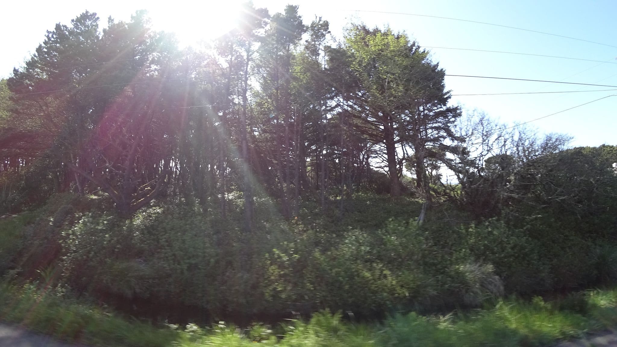 Street view near Holiday Market & Motel, Waldport — © stilldavid (CC BY-SA · Mapillary)