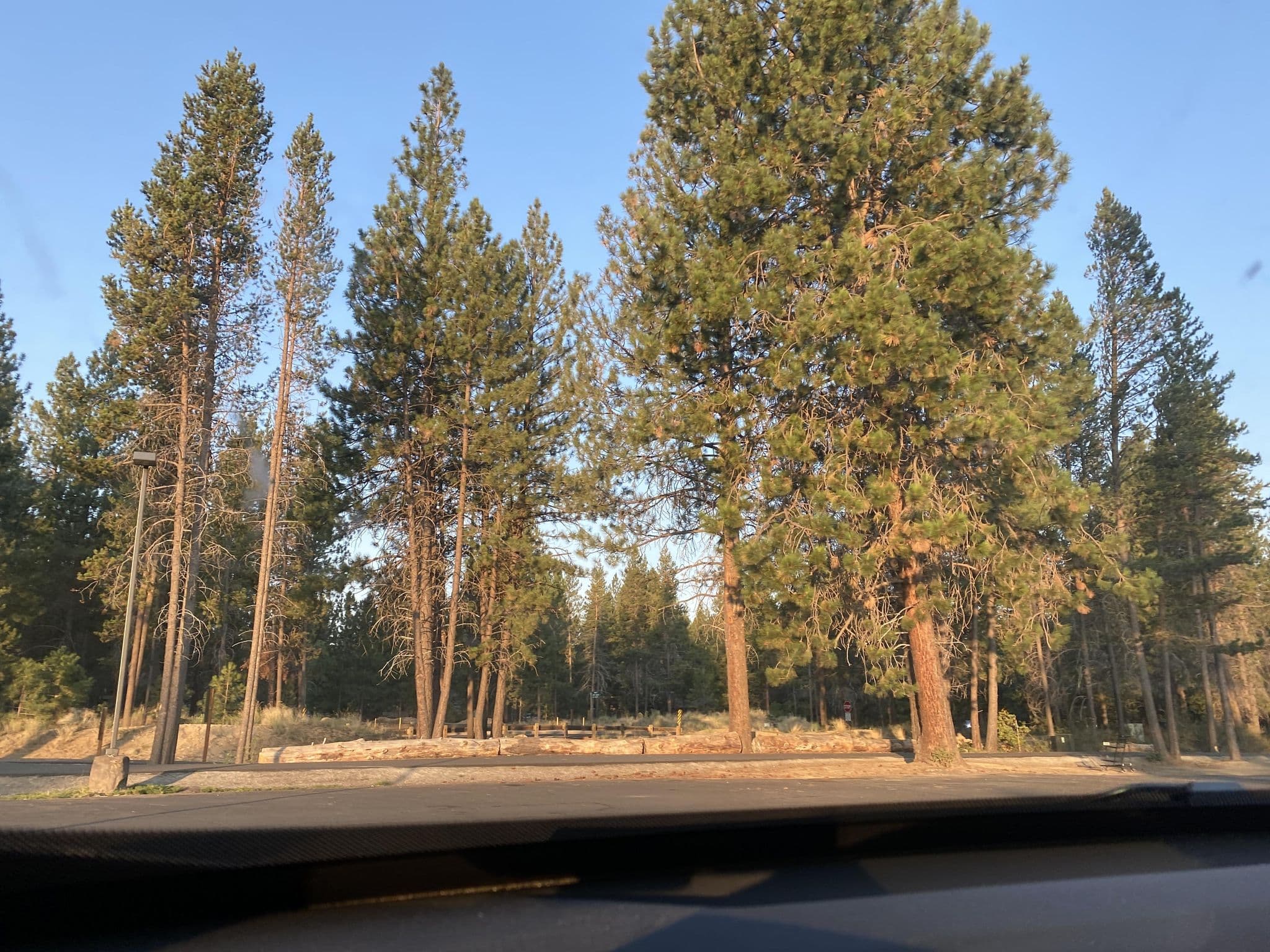 Street view near 17 Yellowpine, Sunriver — © cmiles (CC BY-SA · Mapillary)