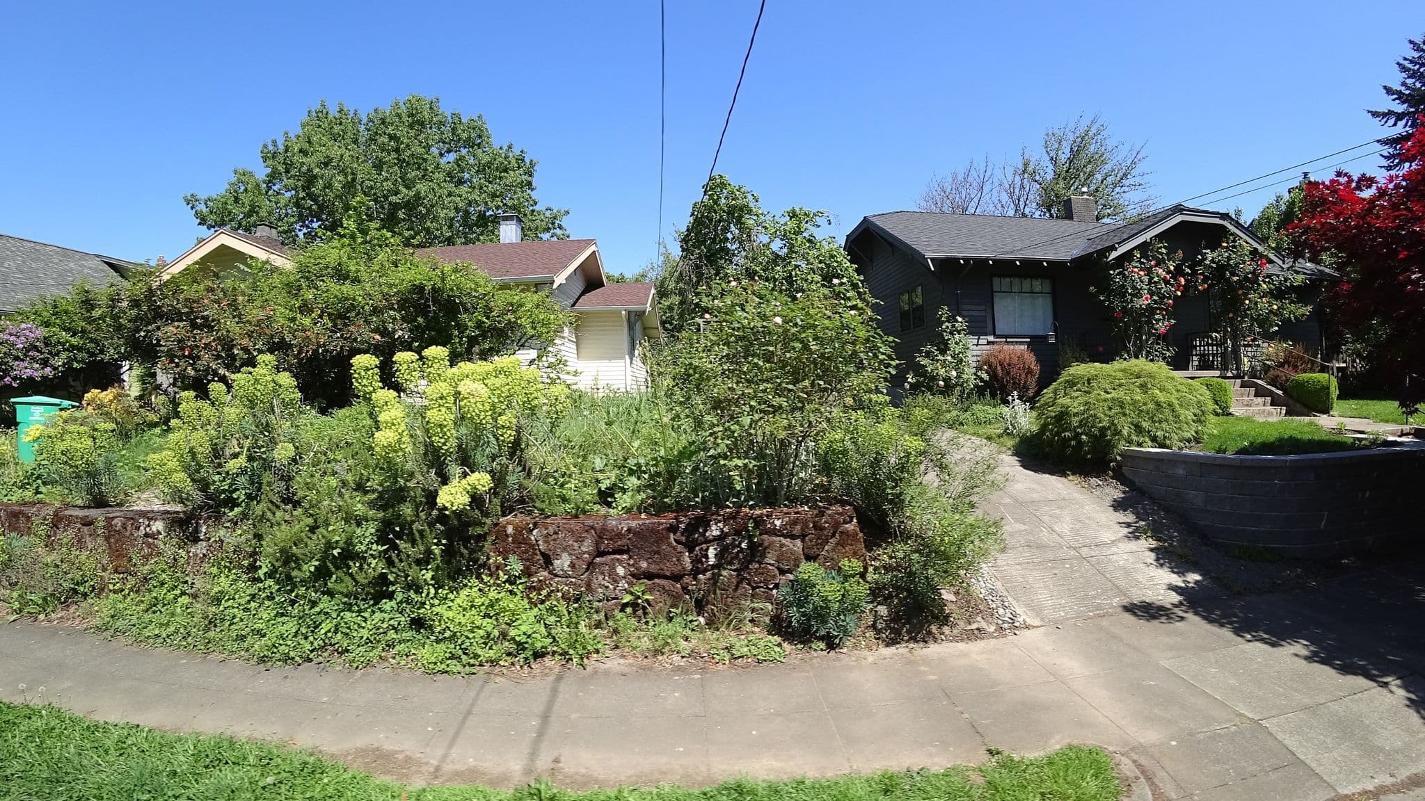 Street view near Hawthorne Garden Cottage, Portland — © mly_pdx01 (CC BY-SA · Mapillary)