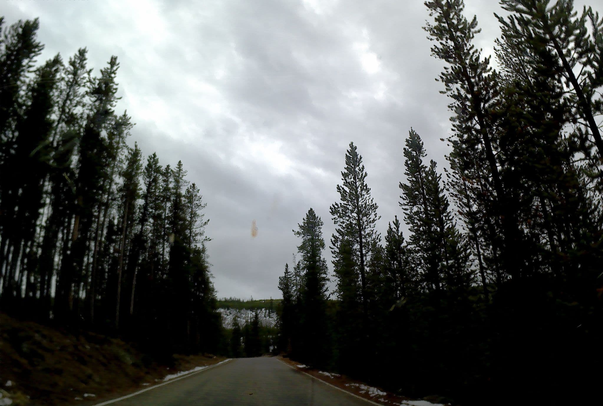 Street view near Yellowstone Wildlife Cabins, West Yellowstone — © ru55ht (CC BY-SA · Mapillary)
