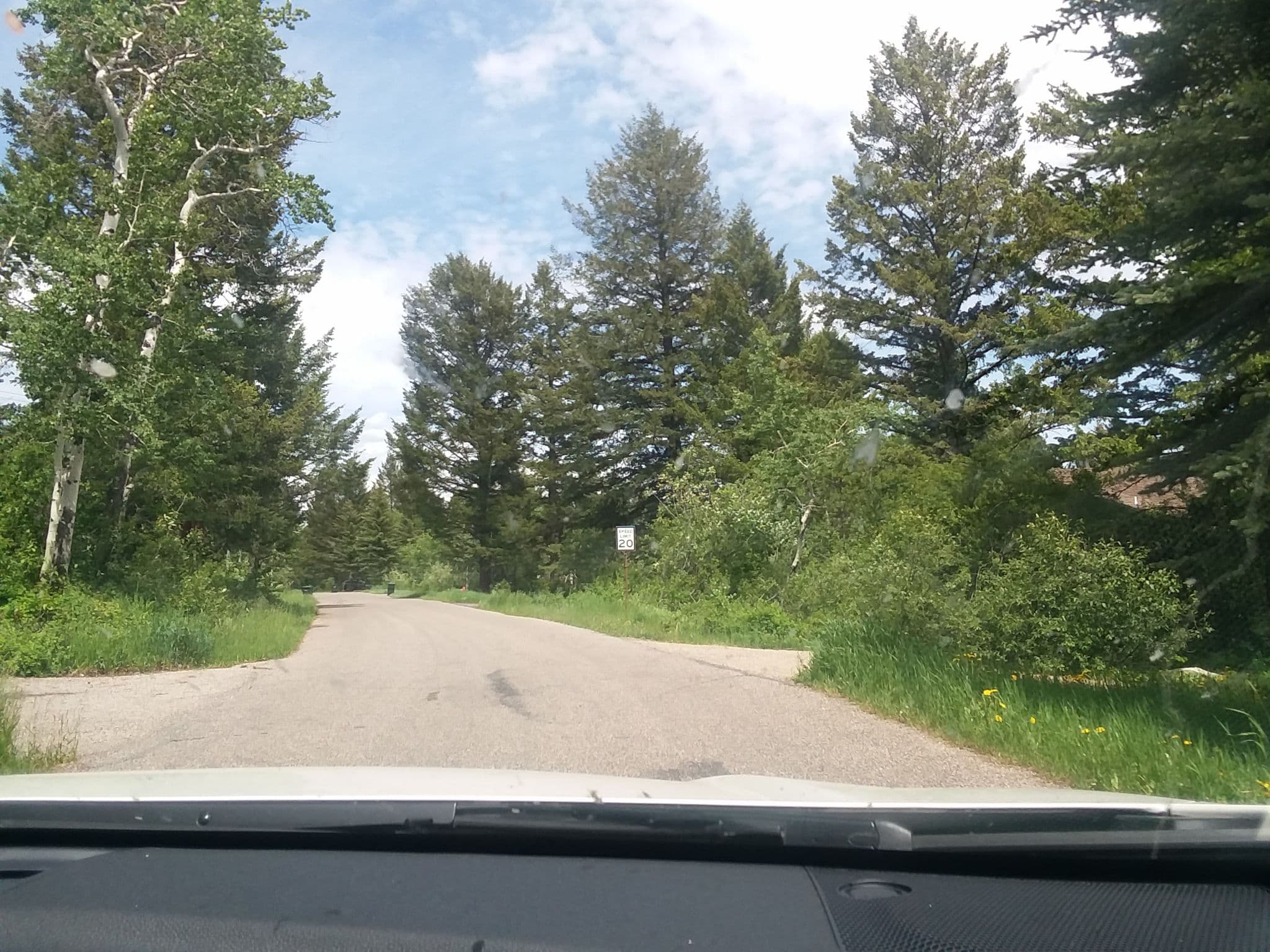 Street view near Hoback Lodge, Moose Wilson Road — © shantalb (CC BY-SA · Mapillary)