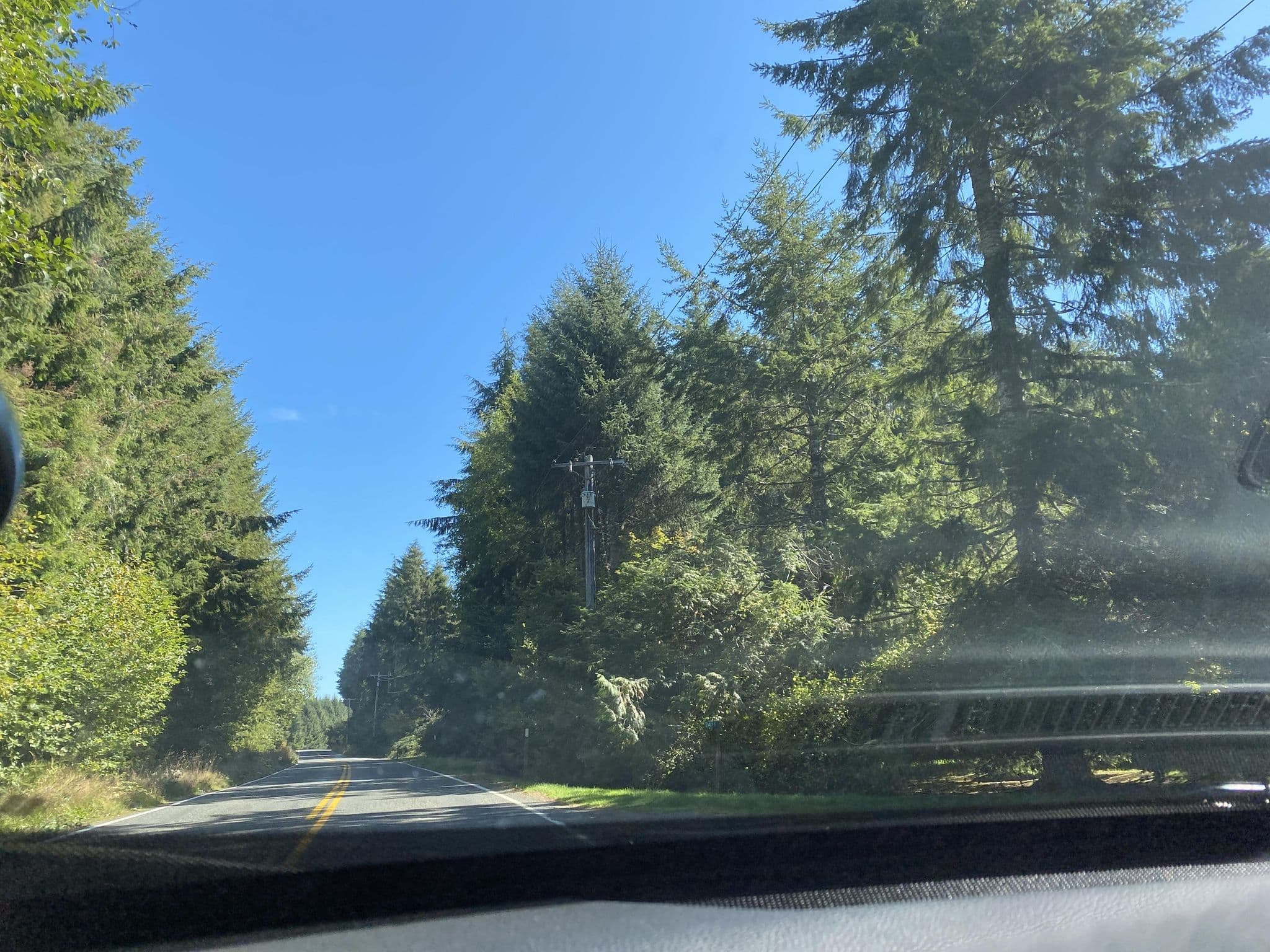 Street view near Olson’s Cabins, Forks — © cmiles (CC BY-SA · Mapillary)