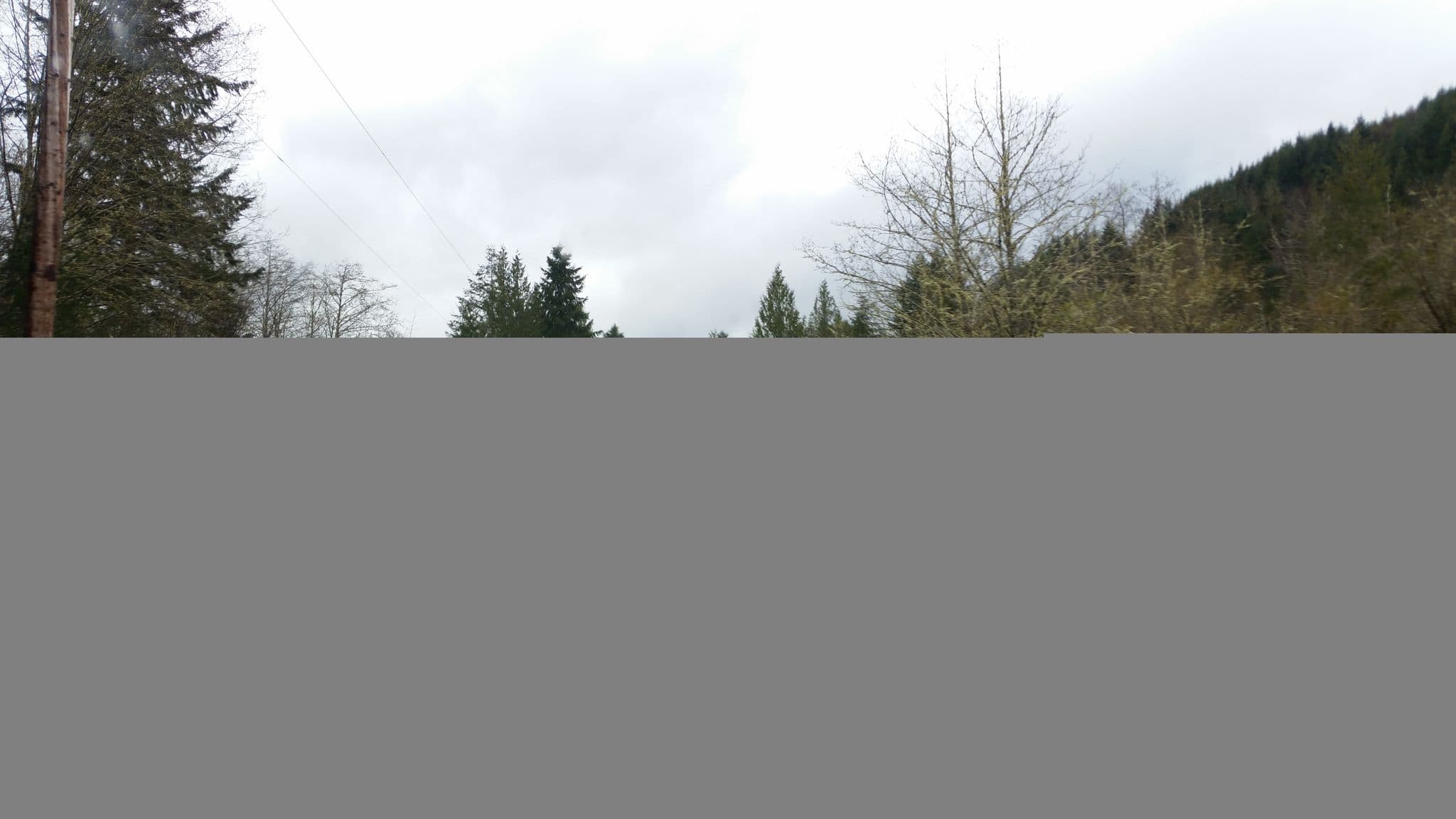 Street view near Rainier Mountain Lodge, Eatonville — © natfoot (CC BY-SA · Mapillary)