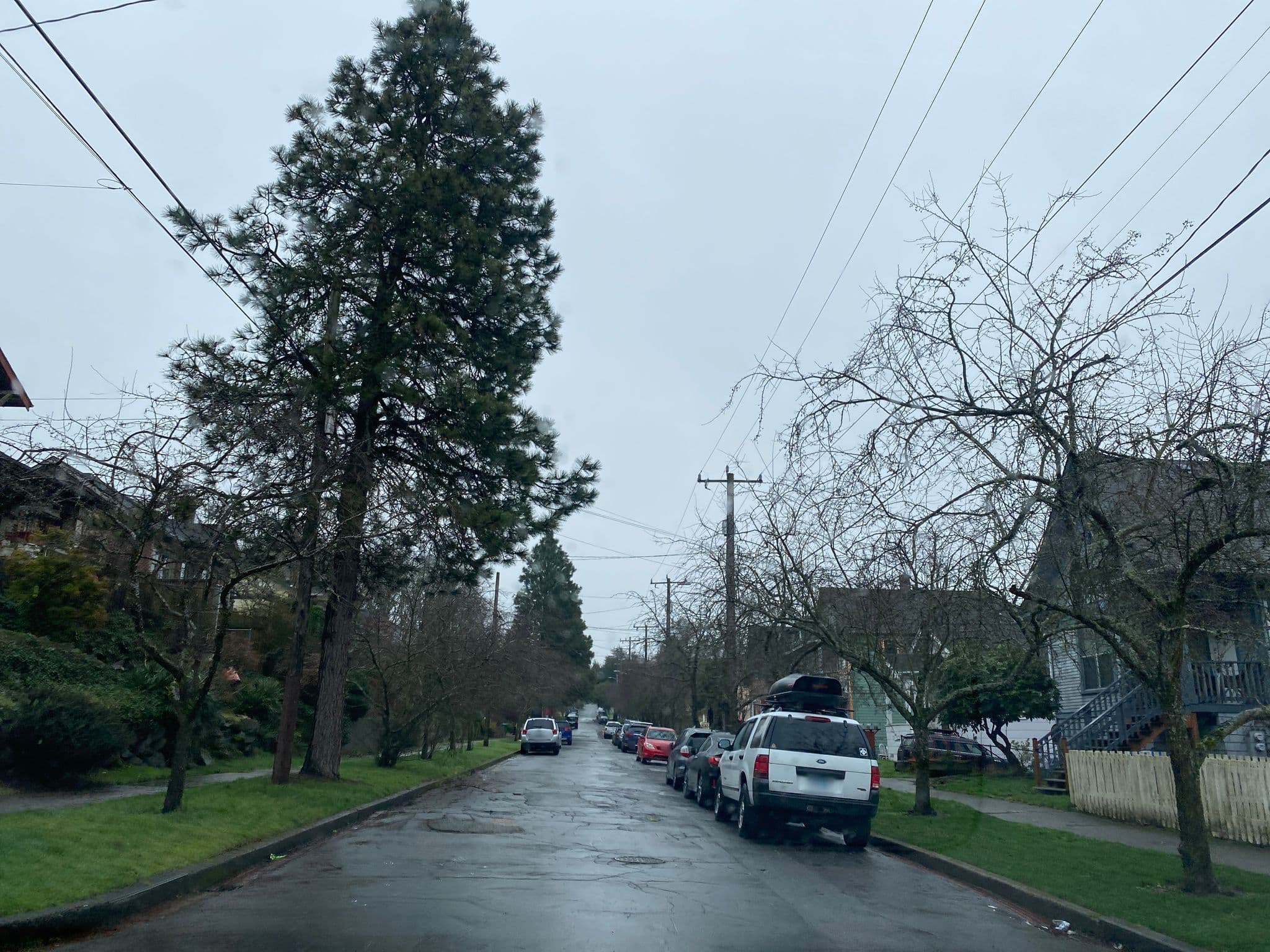 Street view near Homestead Seattle, Seattle — © wallyg (CC BY-SA · Mapillary)