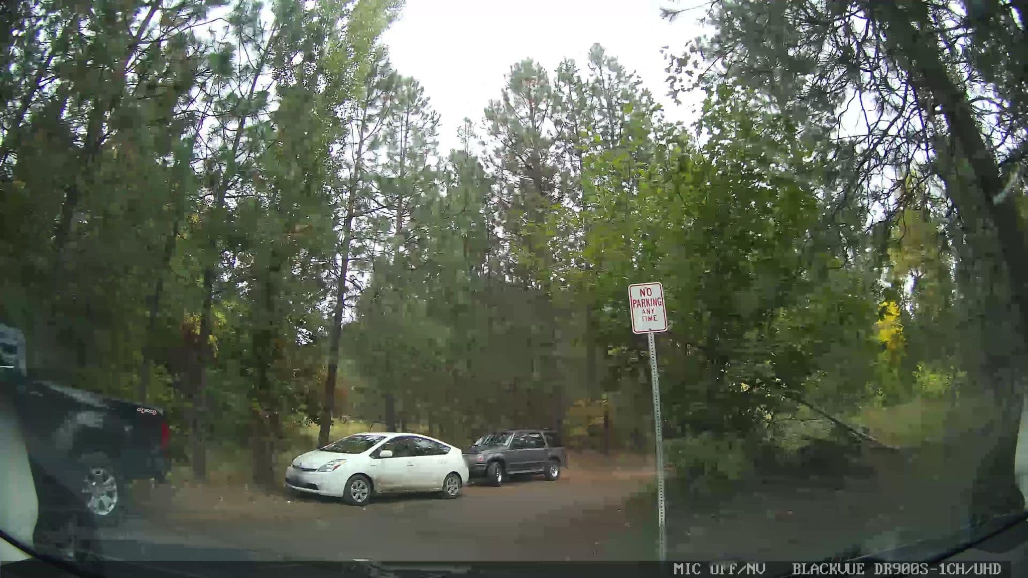 Street view near Evergreen Inn Annex, Cashmere — © damnitgetmybeer (CC BY-SA · Mapillary)