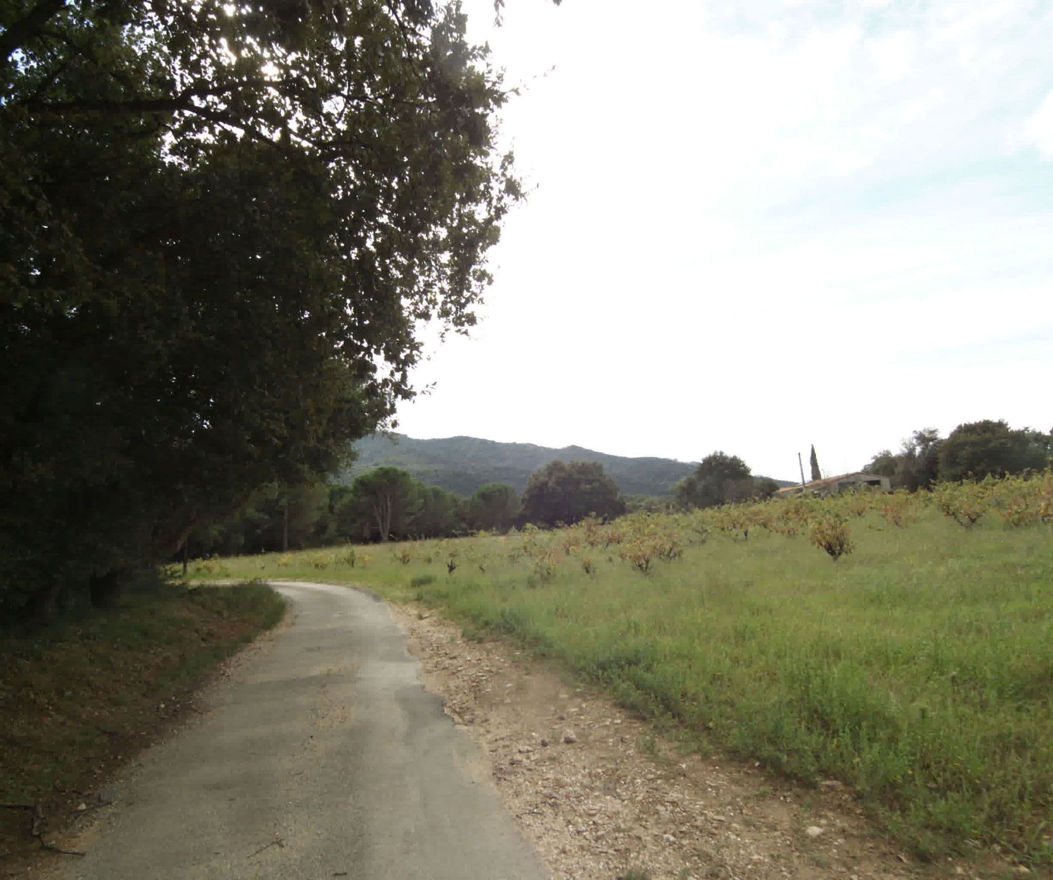 Street view near Domaine de la Cerigue, Argeles — © sogefi (CC BY-SA · Mapillary)