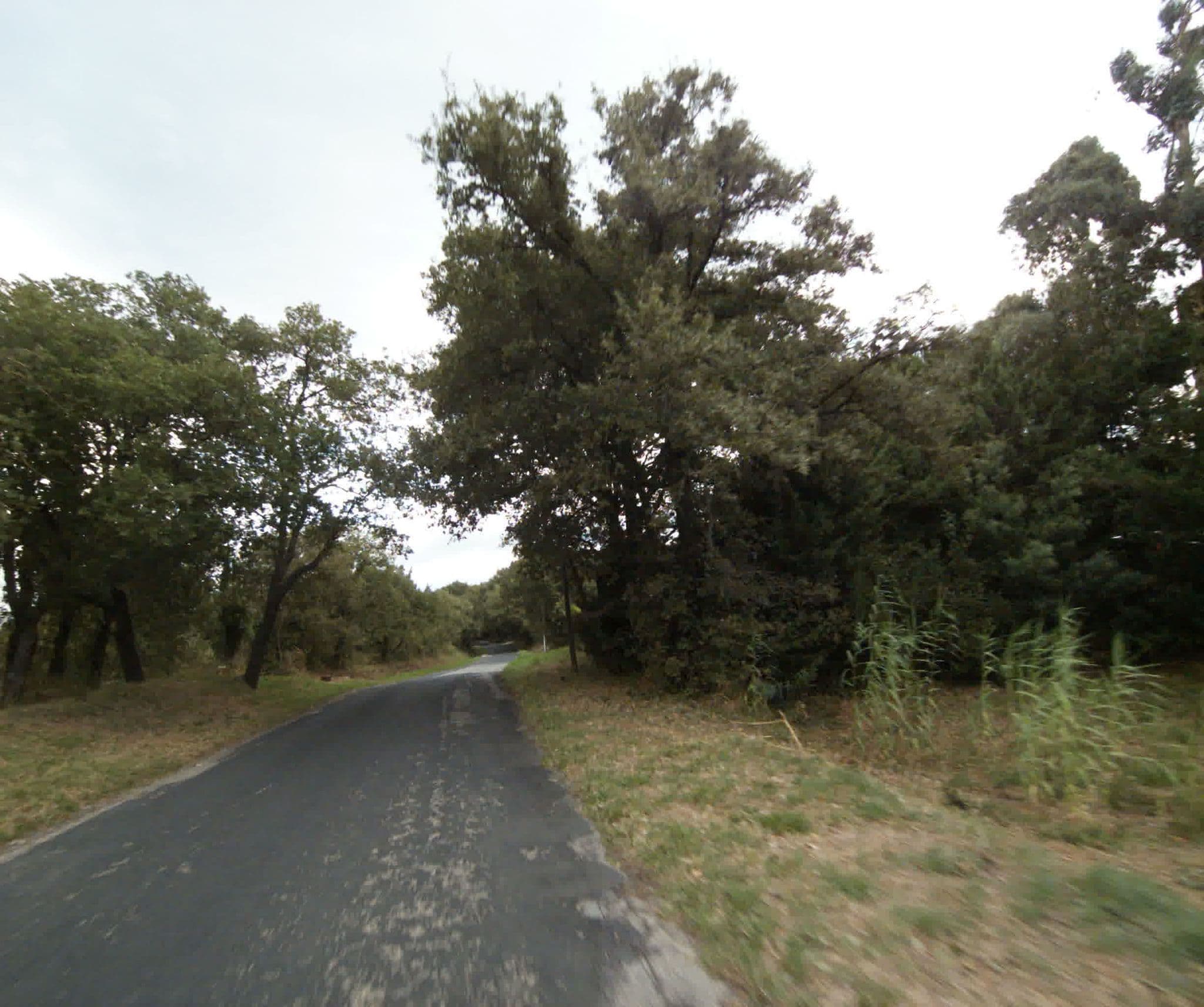 Street view near Les Gîtes de la Tour Pujol, Argeles — © sogefi (CC BY-SA · Mapillary)