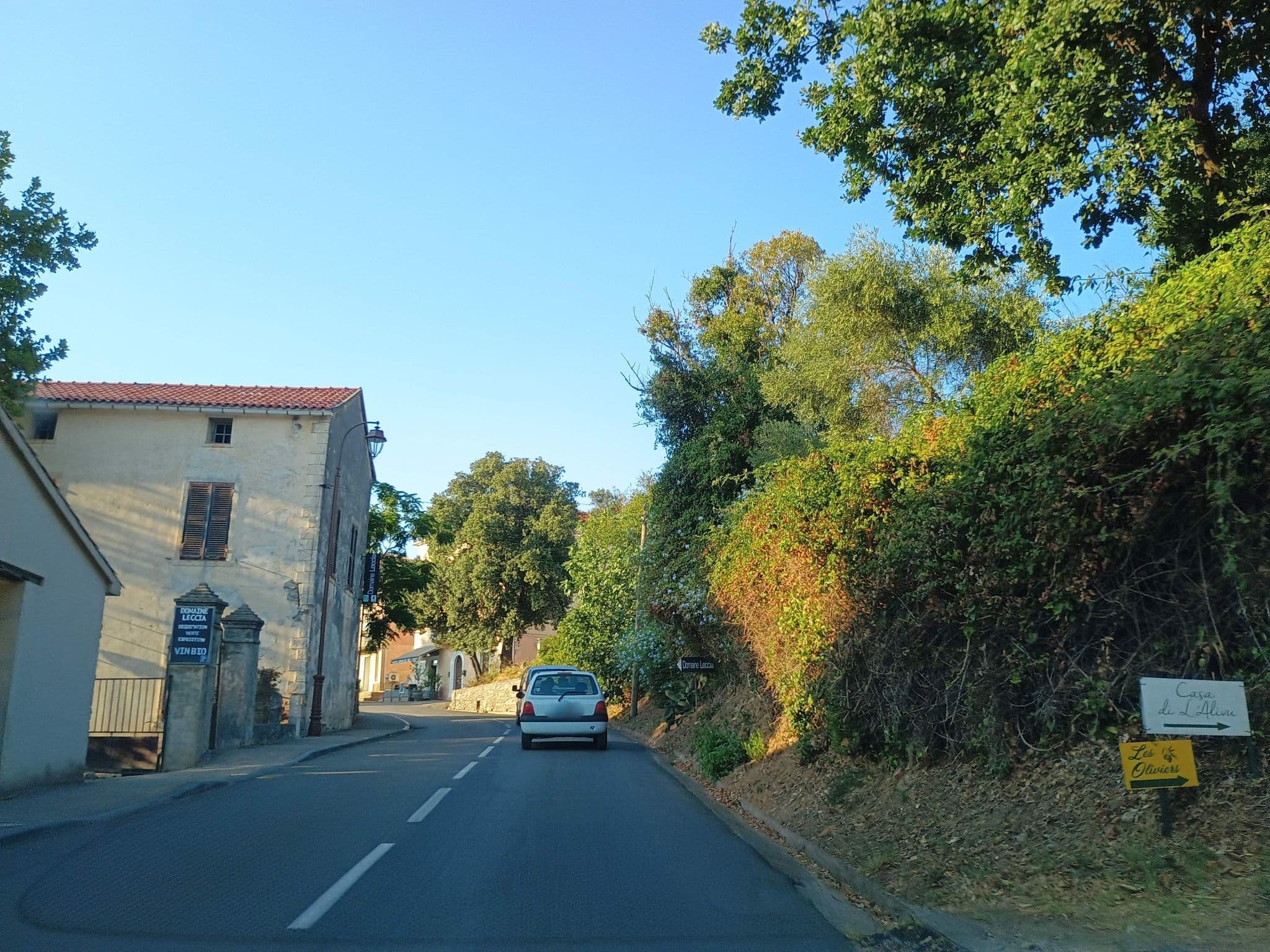 Street view near Casa di l'Alivu Studio Castagnu, Saint-Florent — © thetornado76 (CC BY-SA · Mapillary)