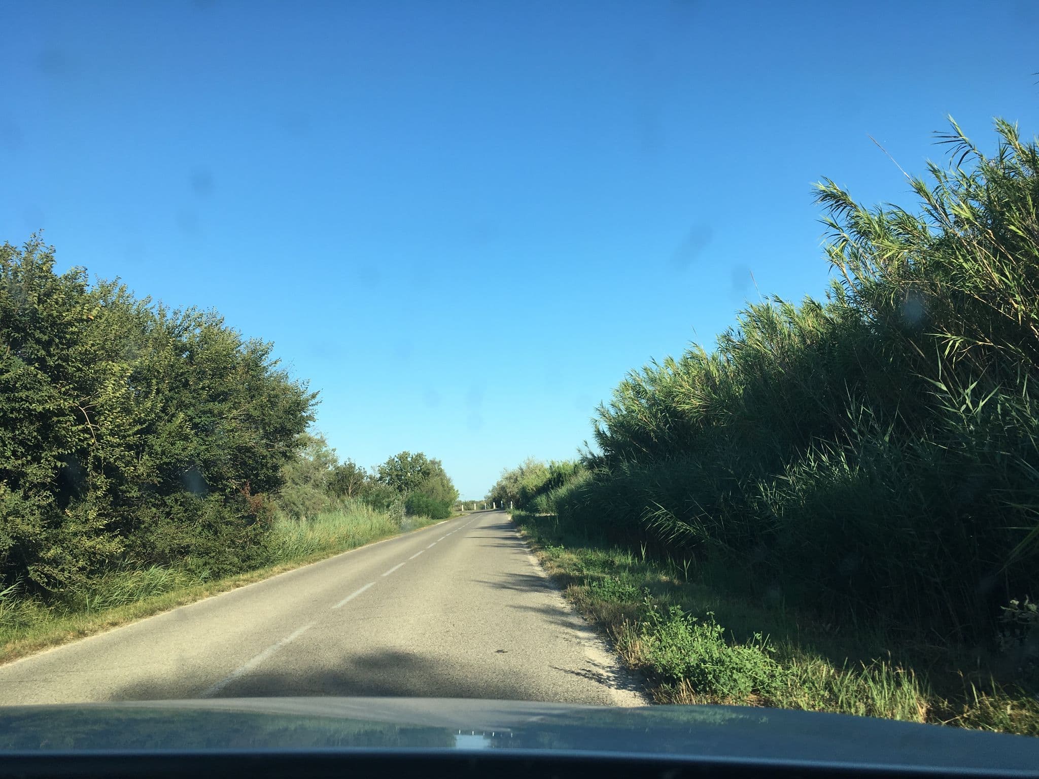 Street view near Mas Albert Espelly, Saintes-Maries-de-la-Mer — © beat (CC BY-SA · Mapillary)