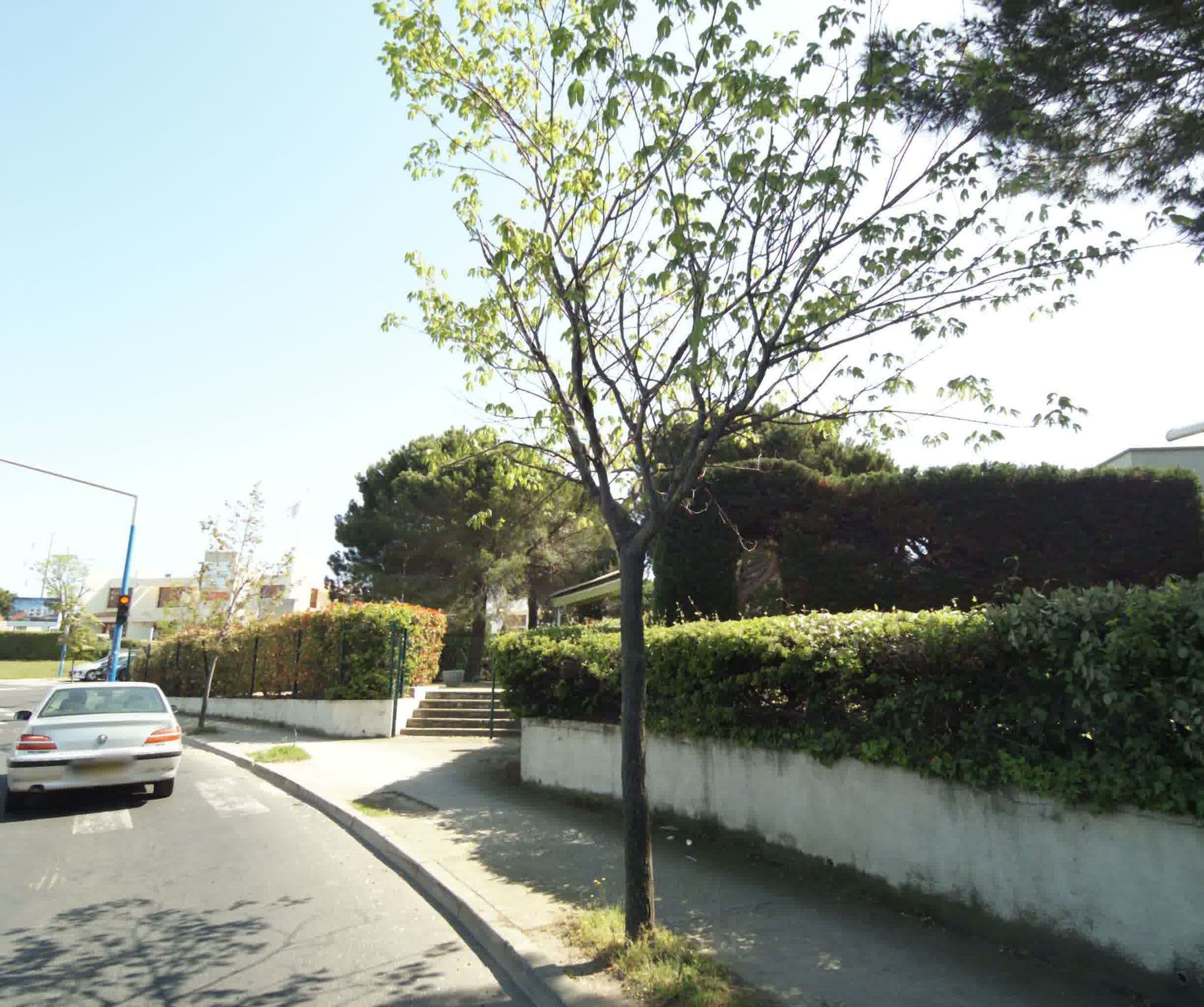 Street view near Hôtel Restaurant Campanile, Montpellier — © sogefi (CC BY-SA · Mapillary)