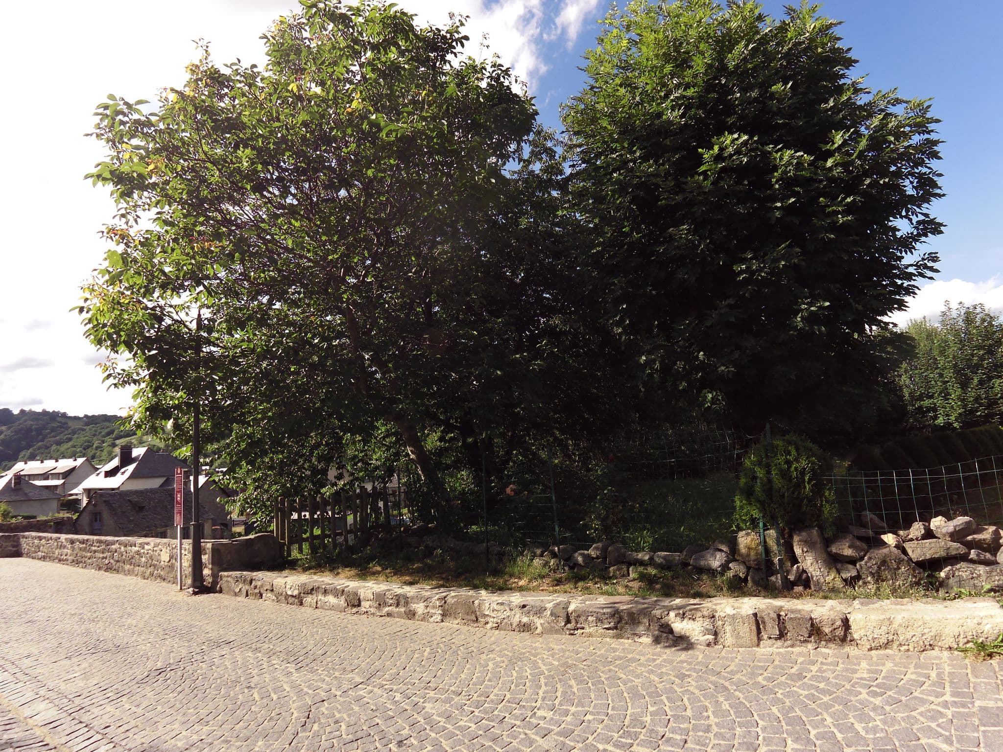 Street view near Hôtel Restaurant le Levant, Besse-et-Saint-Anastaise — © balooval (CC BY-SA · Mapillary)