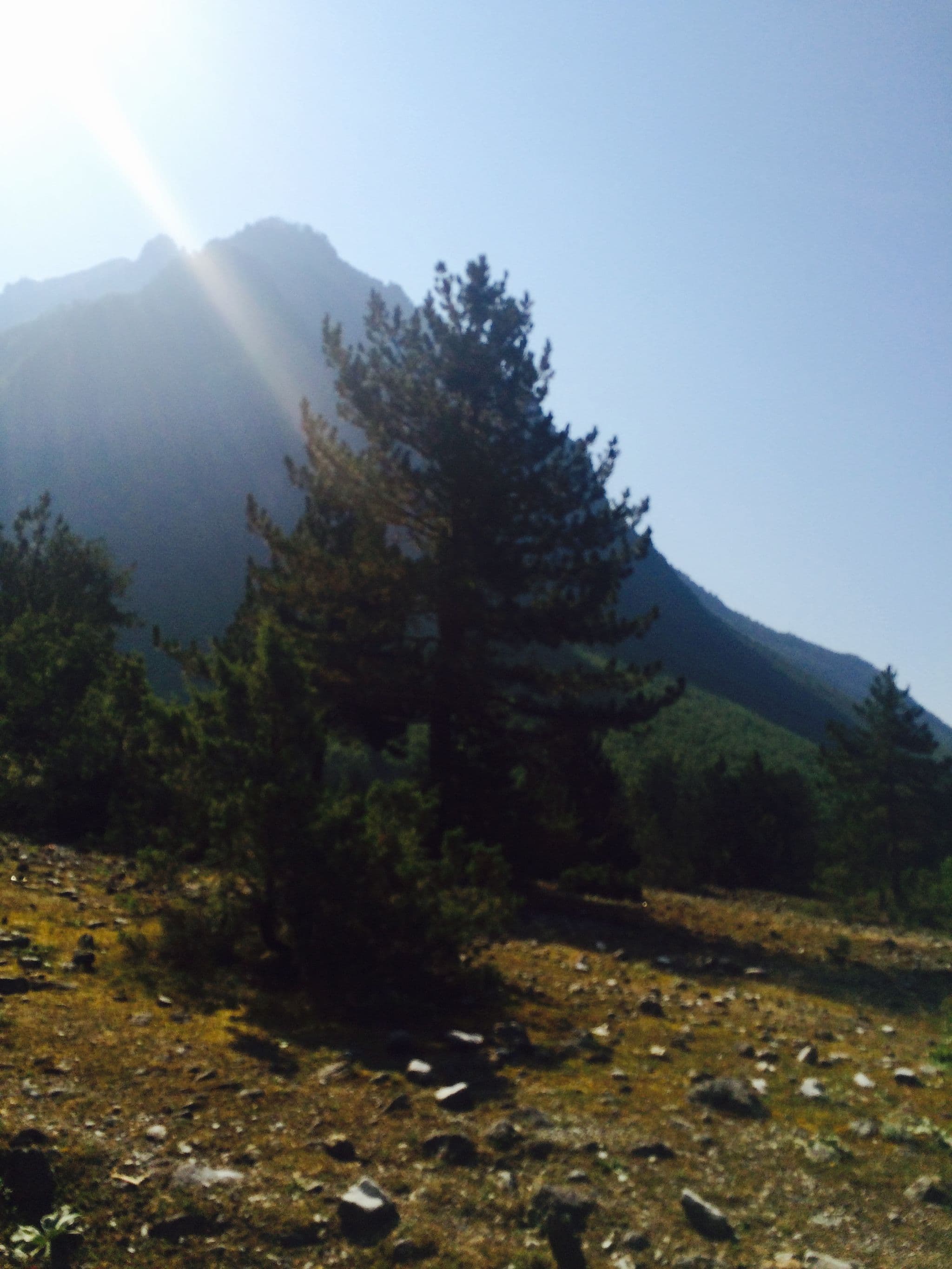 Street view near Bujtina & Ferma "Ded Nika", Bajram Curri