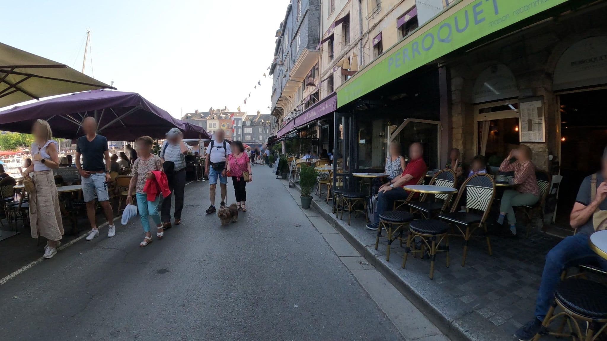 Street view near ecole buissonier, Honfleur — © Nzau (CC BY-SA · Mapillary)
