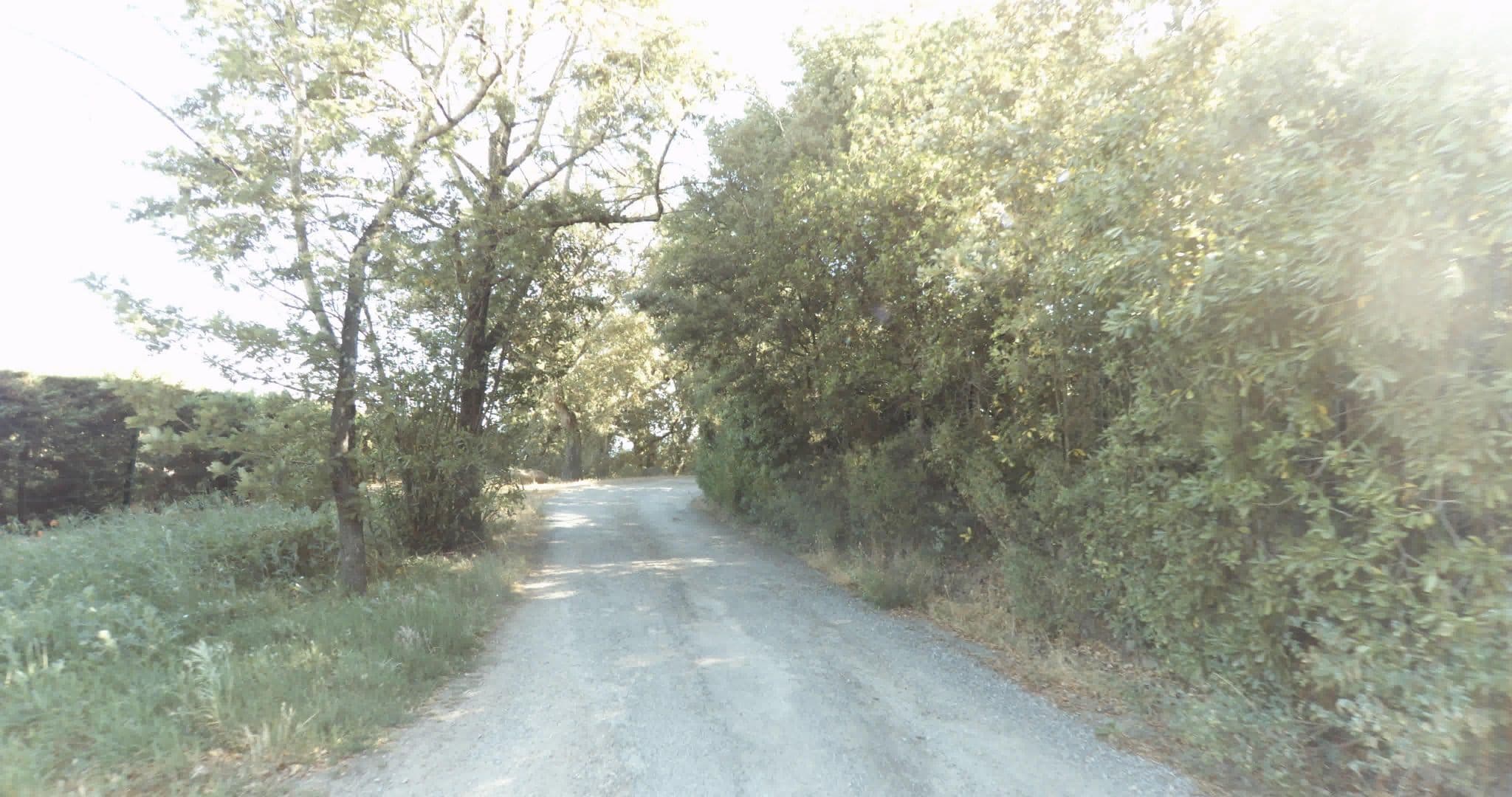 Street view near Odalys, Saint-Tropez — © sogefi (CC BY-SA · Mapillary)