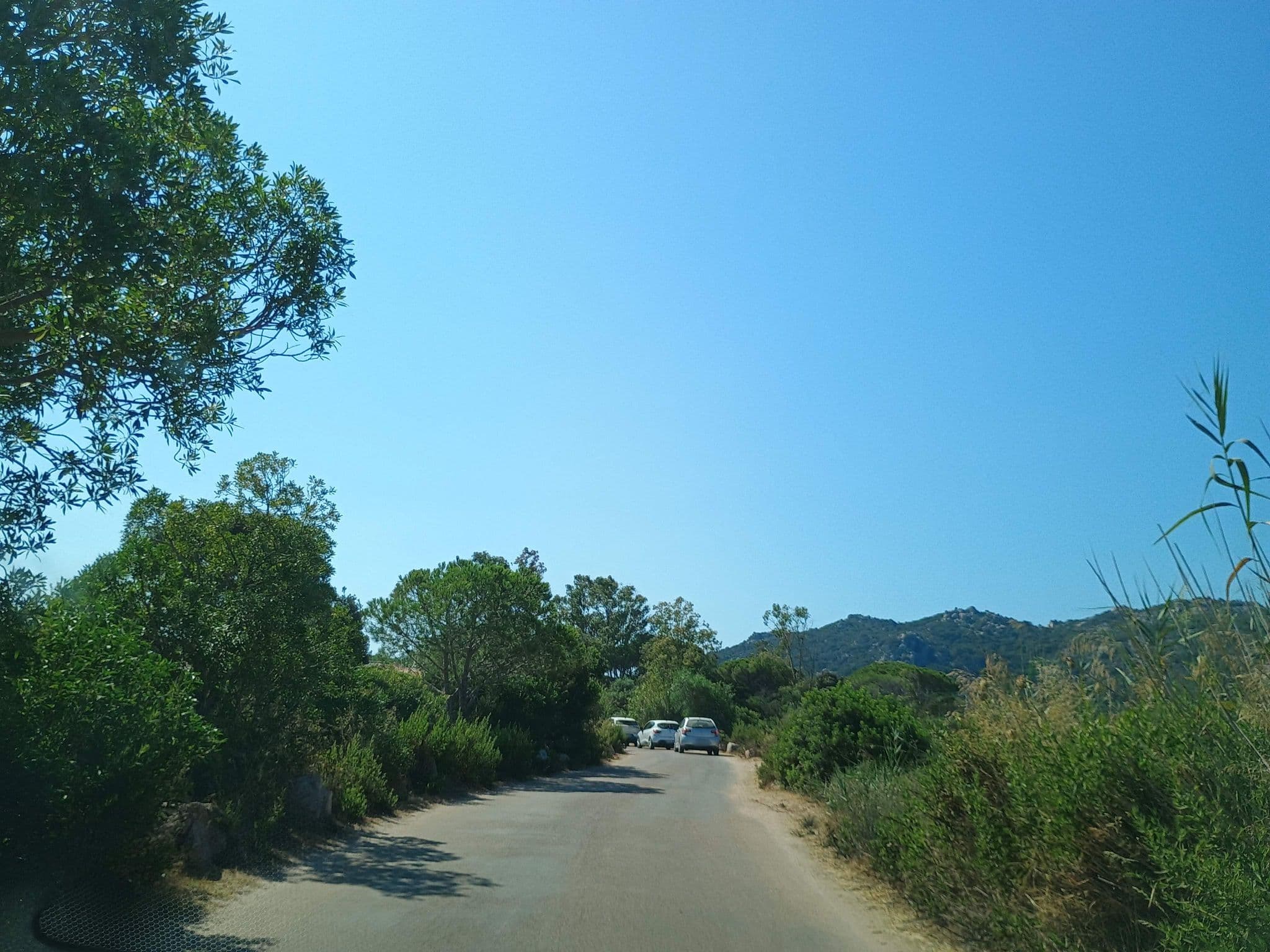 Street view near Residence Cala Sultana -Baie Santa Giulia, Porto-Vecchio — © thetornado76 (CC BY-SA · Mapillary)