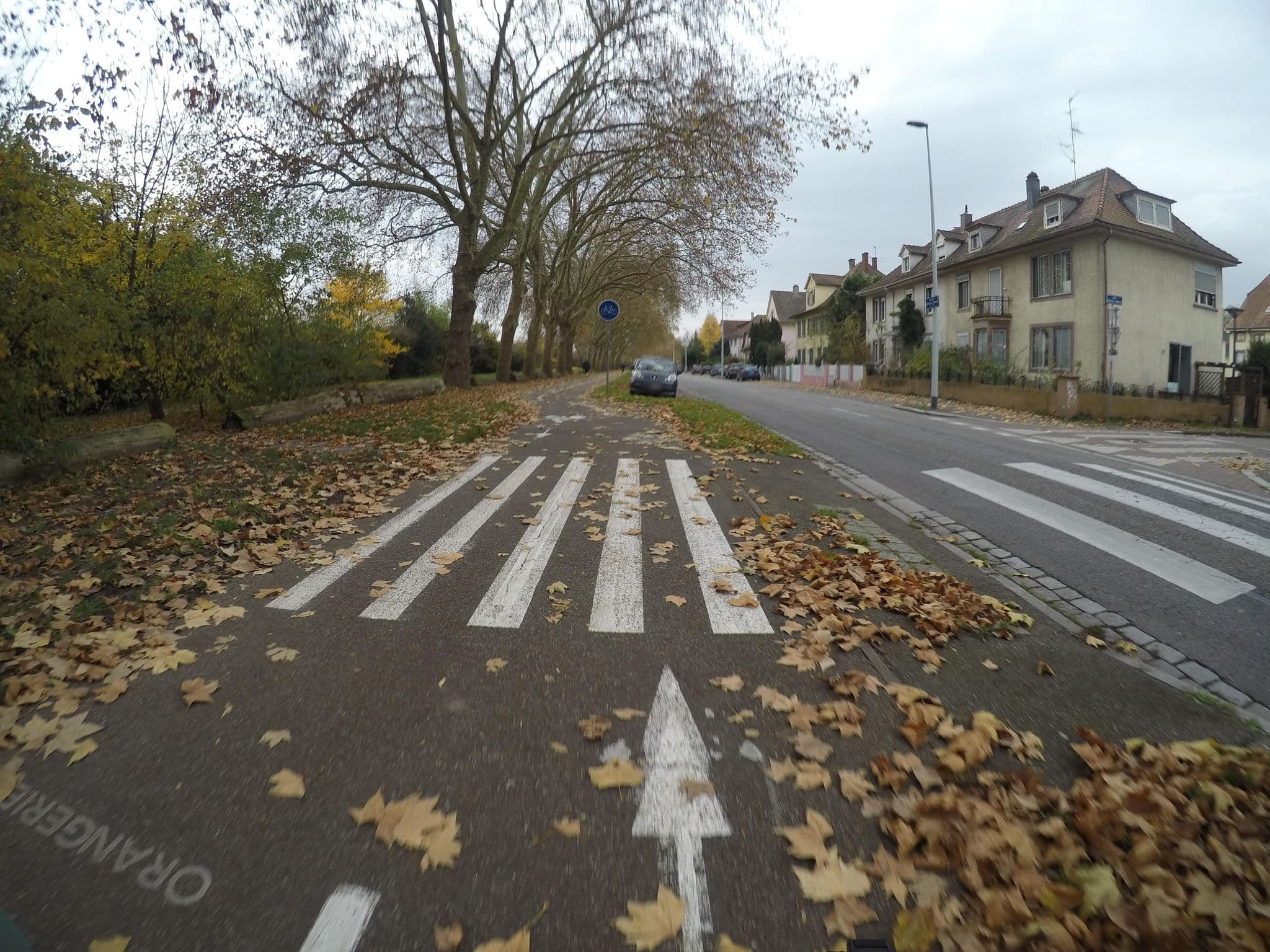 Street view near L'elegant, Strasbourg — © mfa (CC BY-SA · Mapillary)