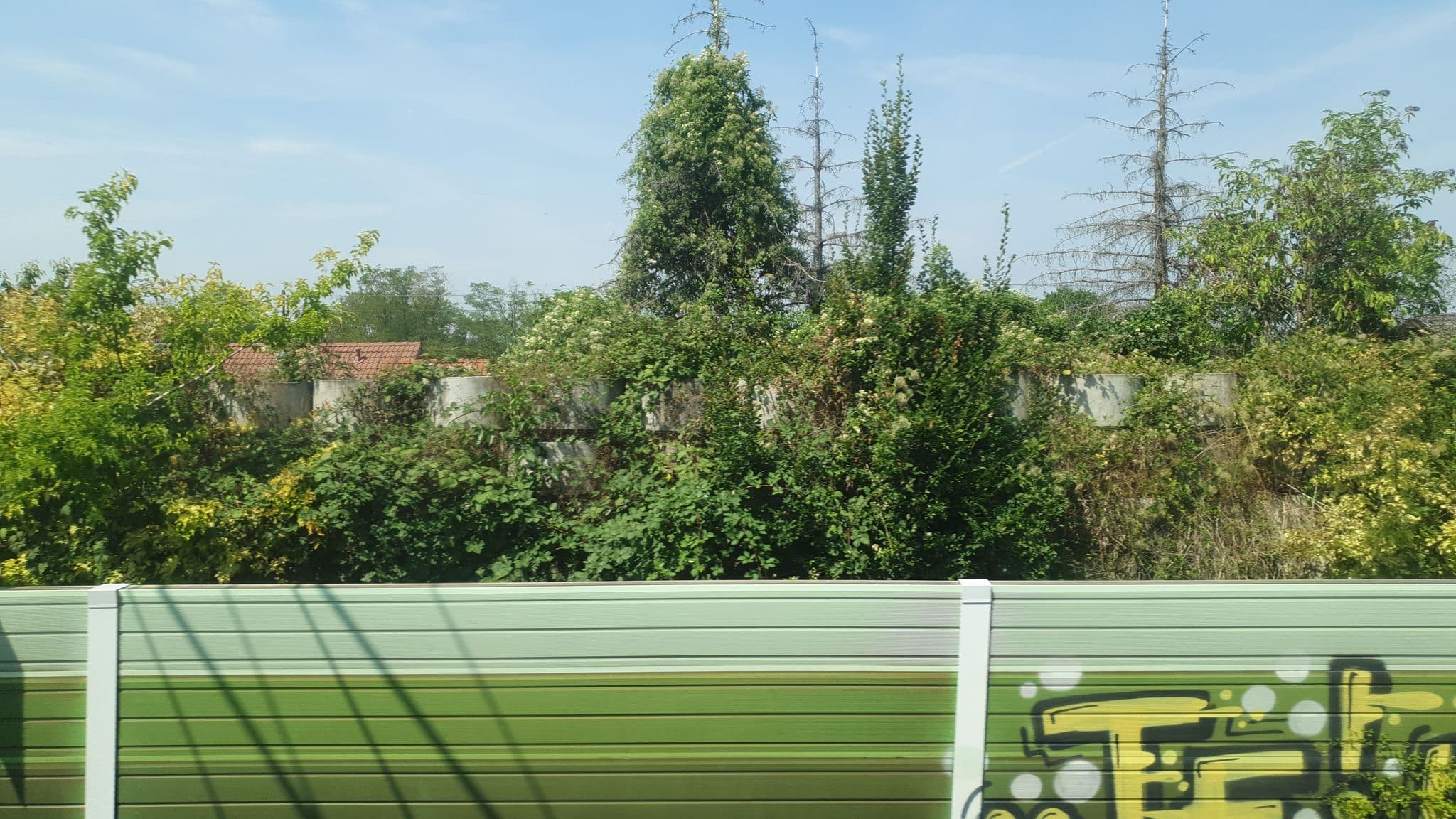 Street view near Schwarzwalder Hof, Bad Bellingen — © bahnundbus (CC BY-SA · Mapillary)