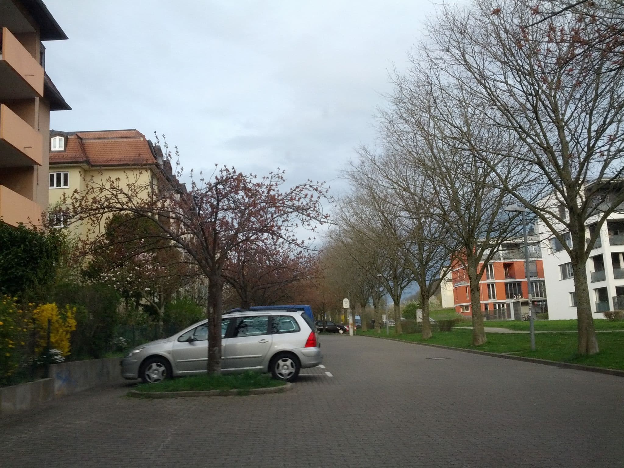 Street view near Ferienwohnung Wilk, Freiburg — © qungo (CC BY-SA · Mapillary)