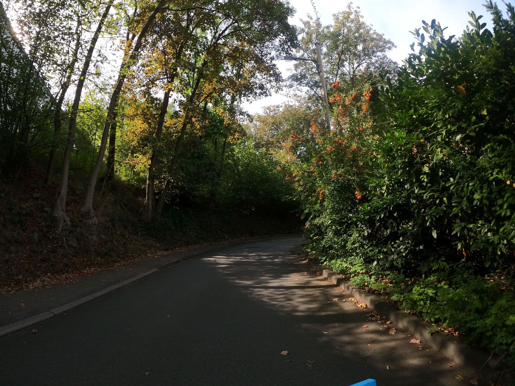 Street view near DB Training Wuppertal, Wuppertal — © phitec (CC BY-SA · Mapillary)