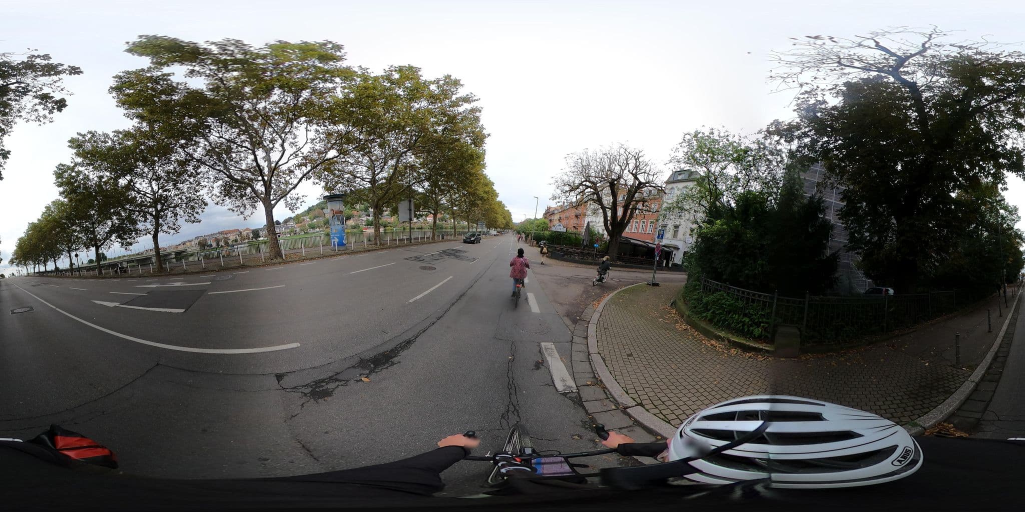 Street view near Papas Pension, Heidelberg — © RadNETZ (CC BY-SA · Mapillary)