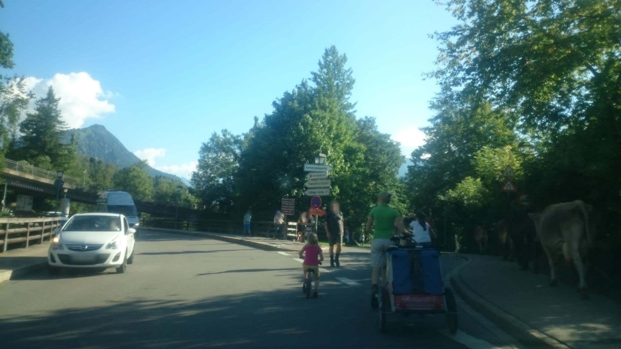Street view near Alpenhuette, Oberstdorf — © msdess (CC BY-SA · Mapillary)
