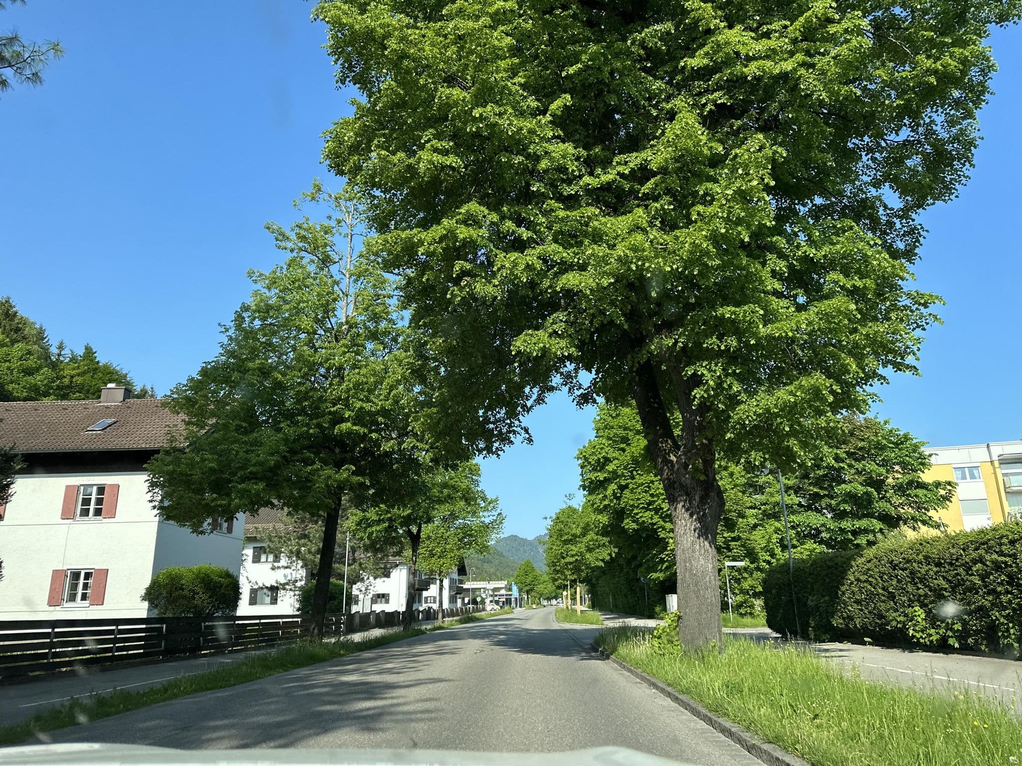 Street view near Gästehaus Rote Villa, Füssen — © dapiang (CC BY-SA · Mapillary)