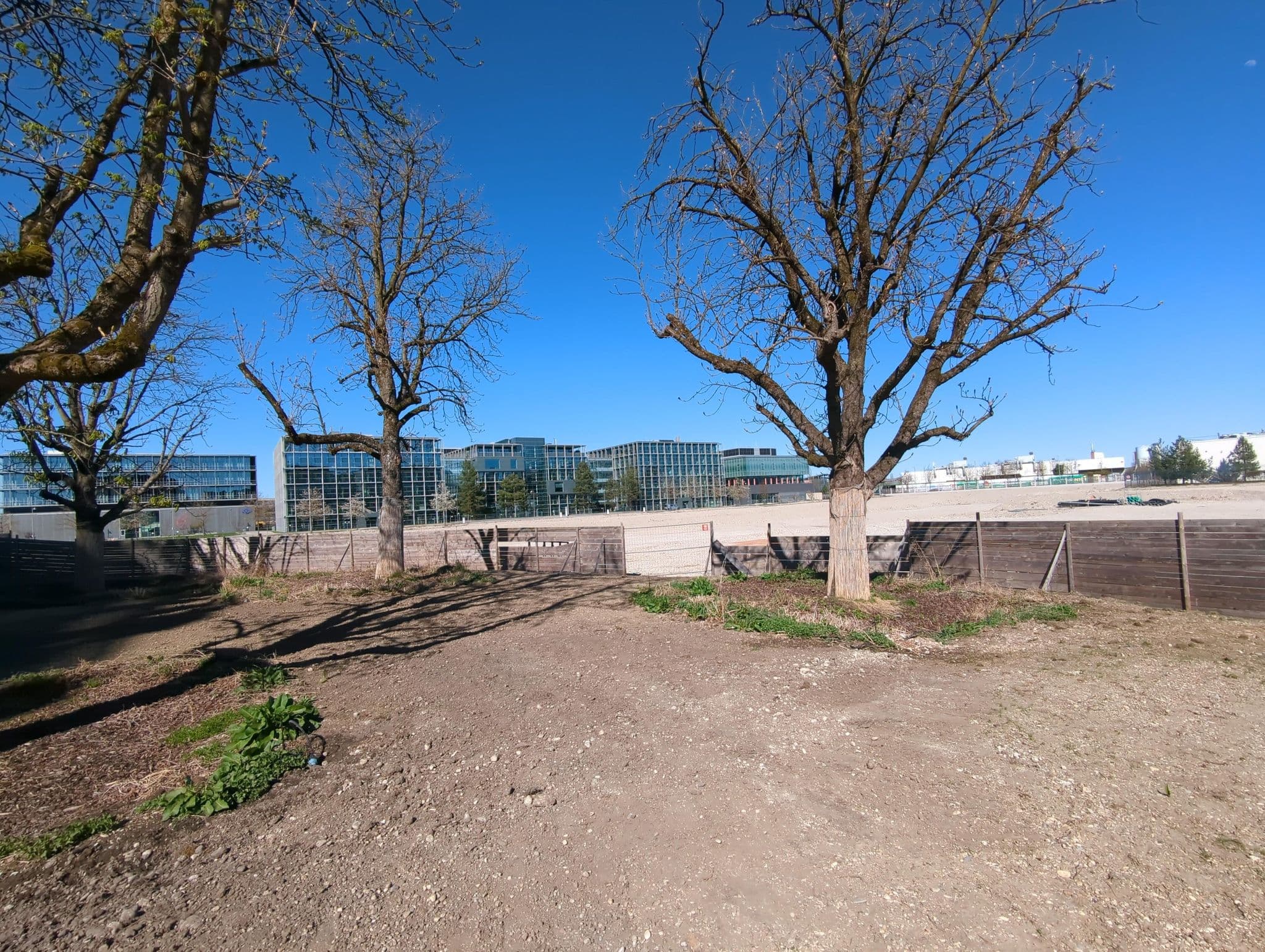 Street view near HJA Retreat, Munich — © ente (CC BY-SA · Mapillary)