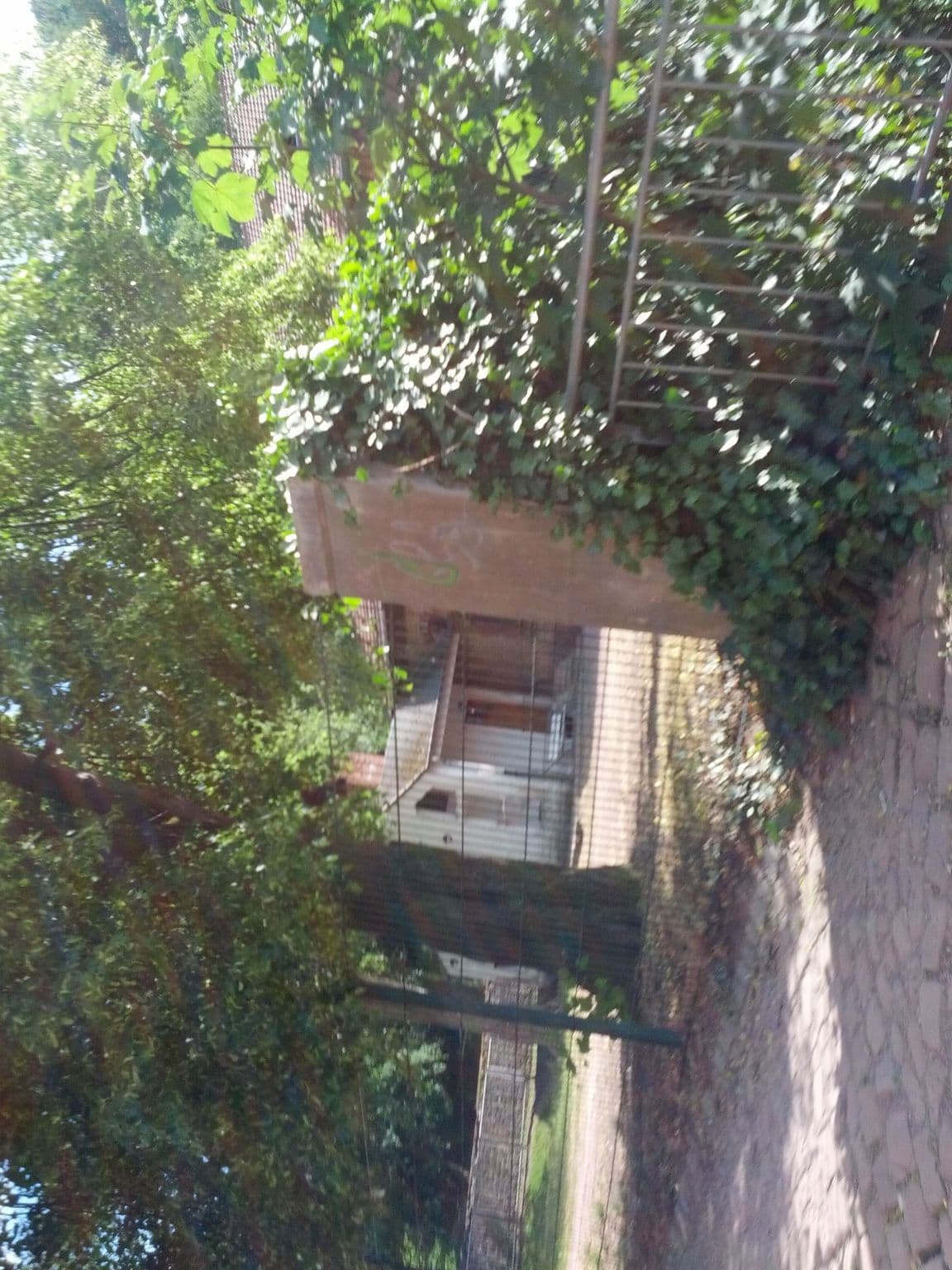 Street view near Ferienwohnungen AM HELLGREVENHOF, Eisenach — © zoegglmeyr (CC BY-SA · Mapillary)