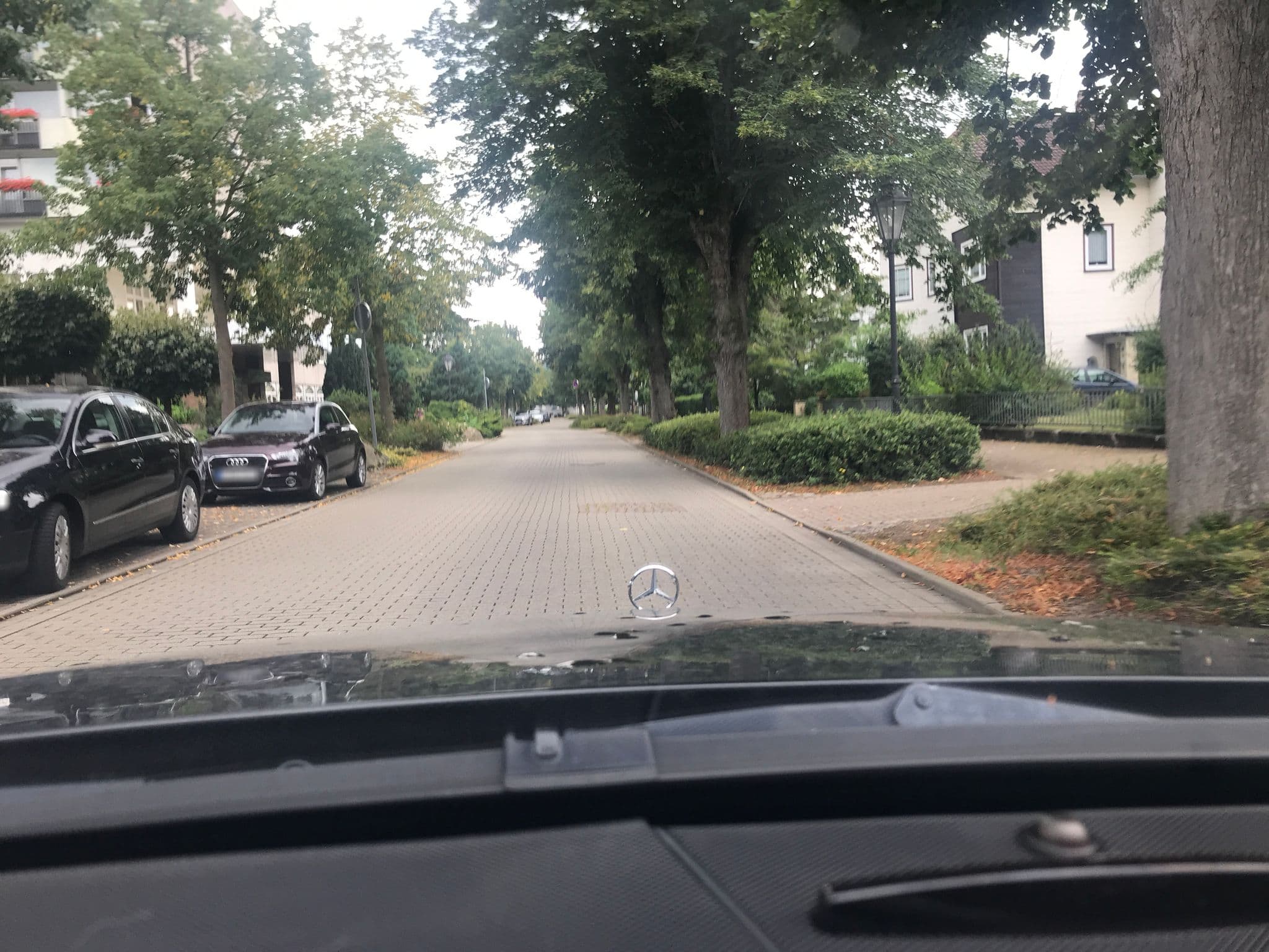 Street view near Revita Seela GmbH & Co, Bad Lauterberg im Harz — © saschahaberkorn (CC BY-SA · Mapillary)