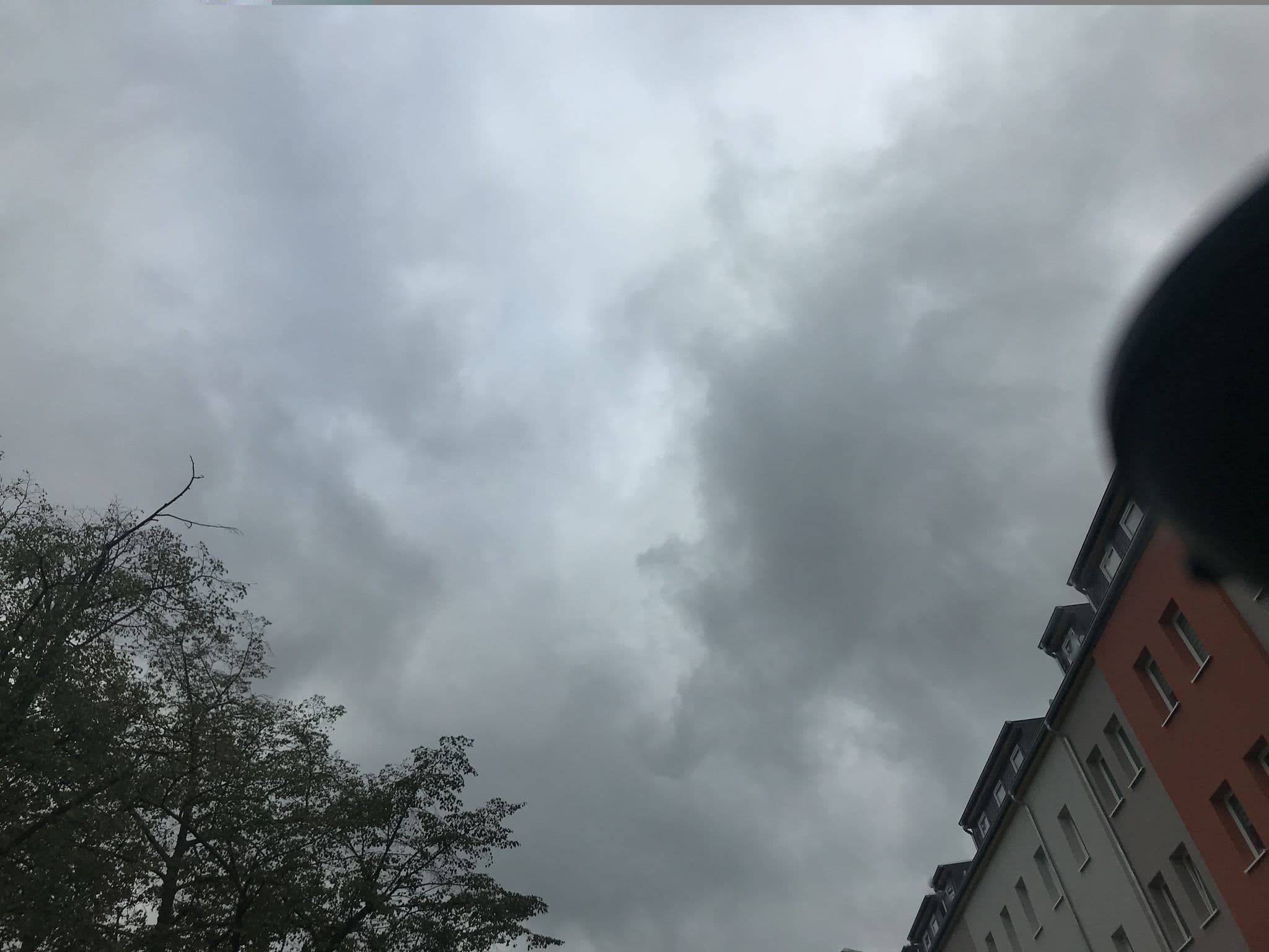 Street view near Buntes Haus, Erfurt — © saschahaberkorn (CC BY-SA · Mapillary)