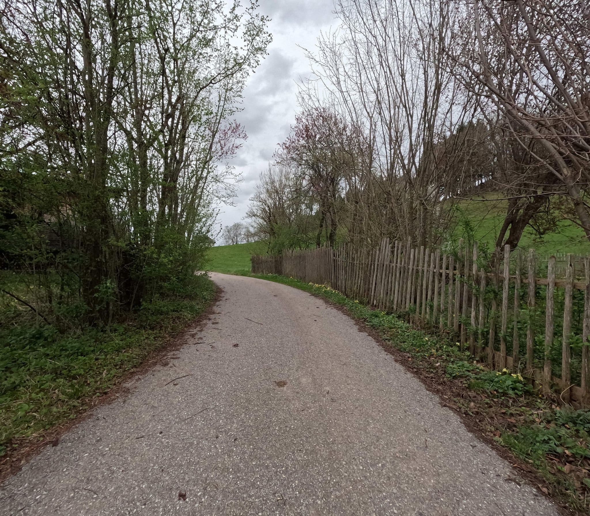 Street view near Maiergschwendter Hof, Ruhpolding — © natebus (CC BY-SA · Mapillary)