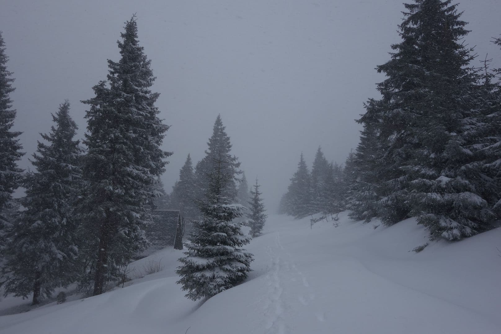 Street view near Pension Fichtelberghütte, Kurort Oberwiesenthal — © malenki (CC BY-SA · Mapillary)