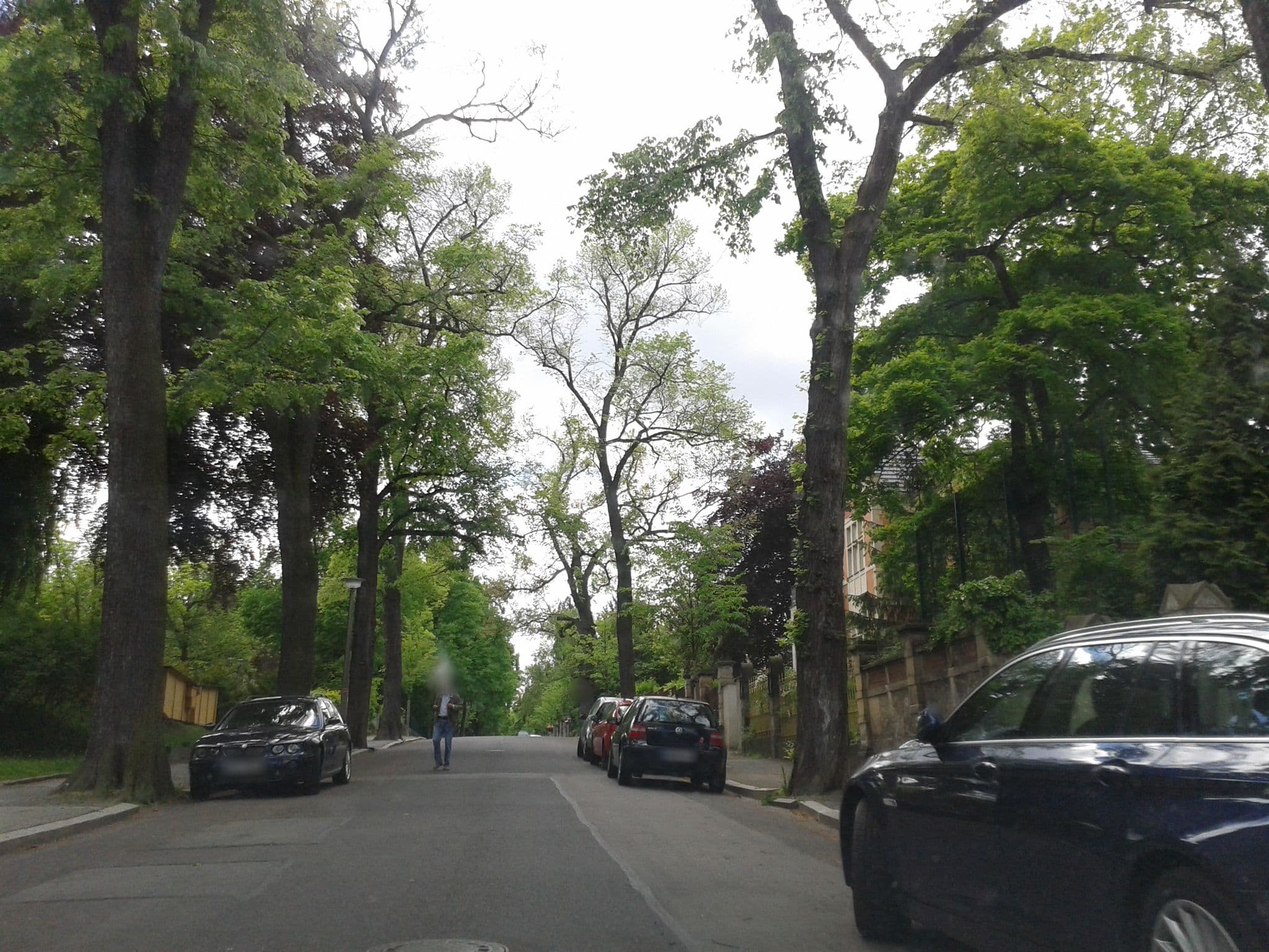 Street view near Villa Sommerschuh, Dresden — © thomas (CC BY-SA · Mapillary)