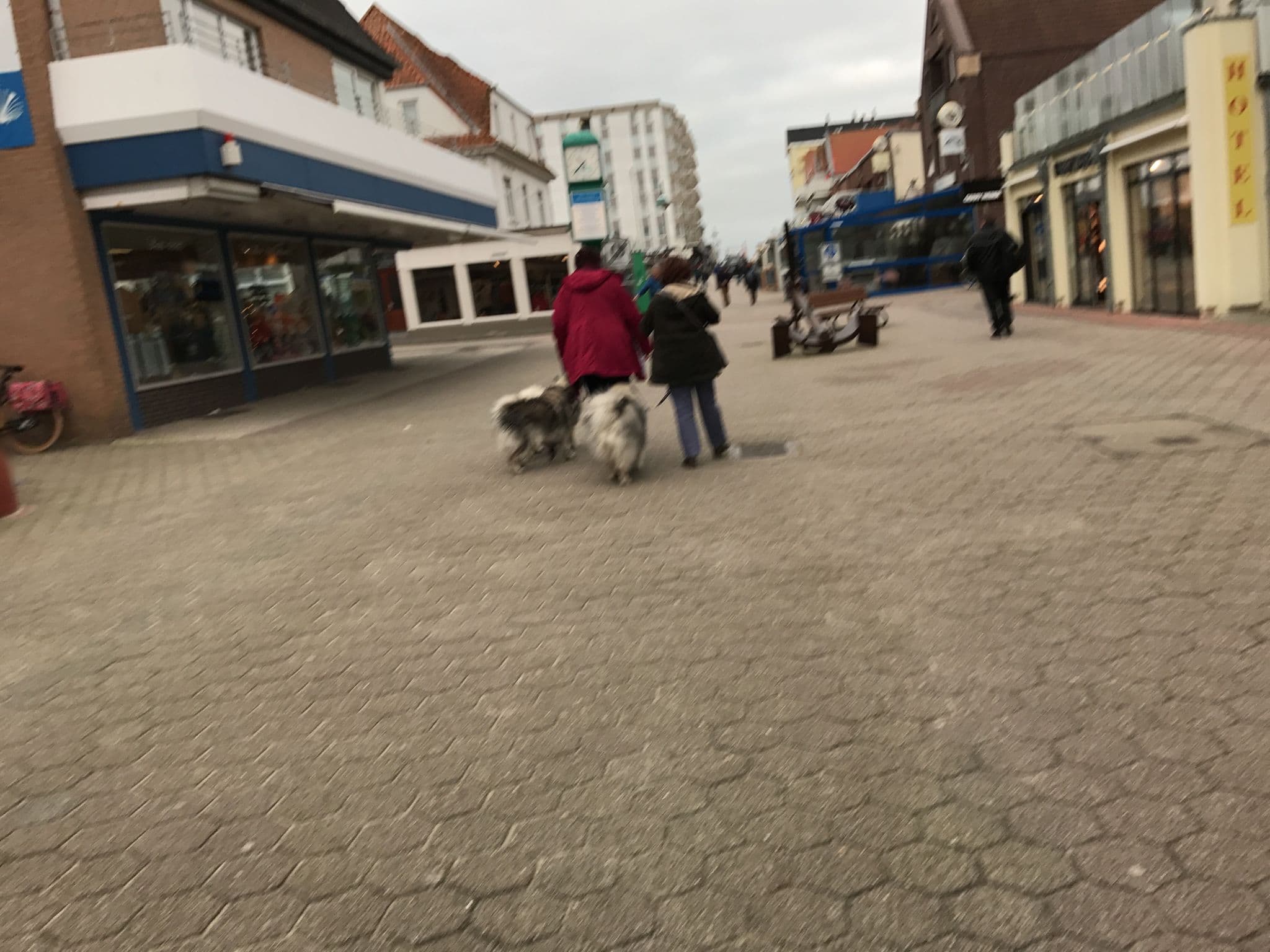 Street view near Hotel Erika, Borkum — © miguel_andrade (CC BY-SA · Mapillary)
