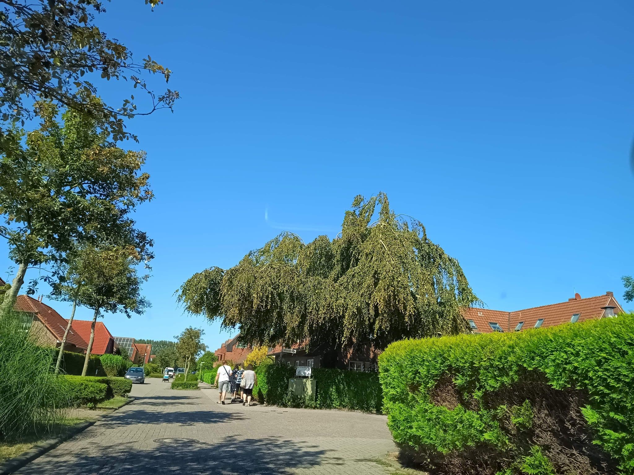 Street view near Ferienhaus Am Kurzentrum 26, Neuharlingersiel — © thetornado76 (CC BY-SA · Mapillary)