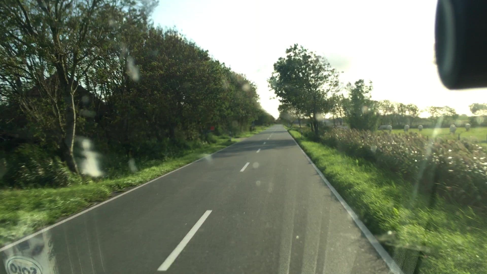 Street view near Bauernhof am Deich Maike Tannen, Esens — © lvl5 (CC BY-SA · Mapillary)