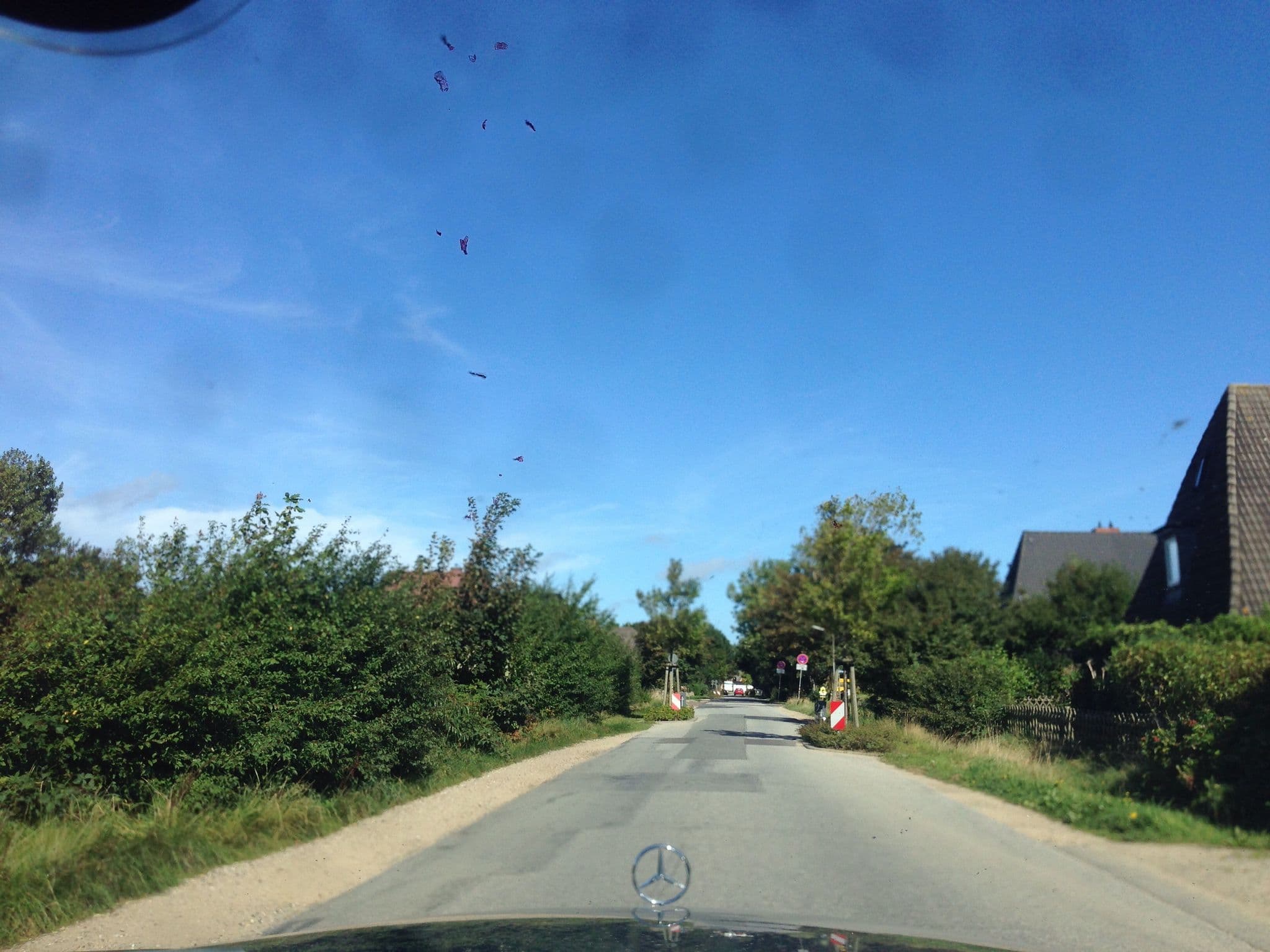 Street view near Ferienhaus Süder-Tresker, Tinnum — © mjay (CC BY-SA · Mapillary)