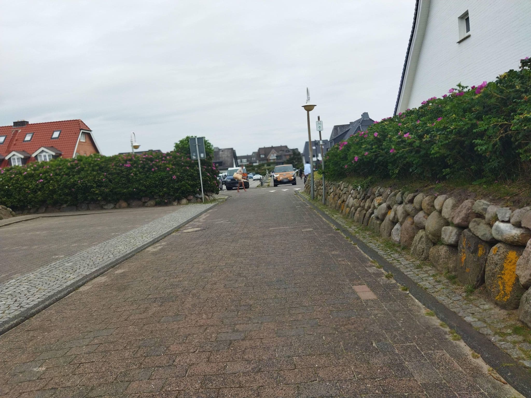 Street view near Pension Leißner, Westerland — © changchun1 (CC BY-SA · Mapillary)
