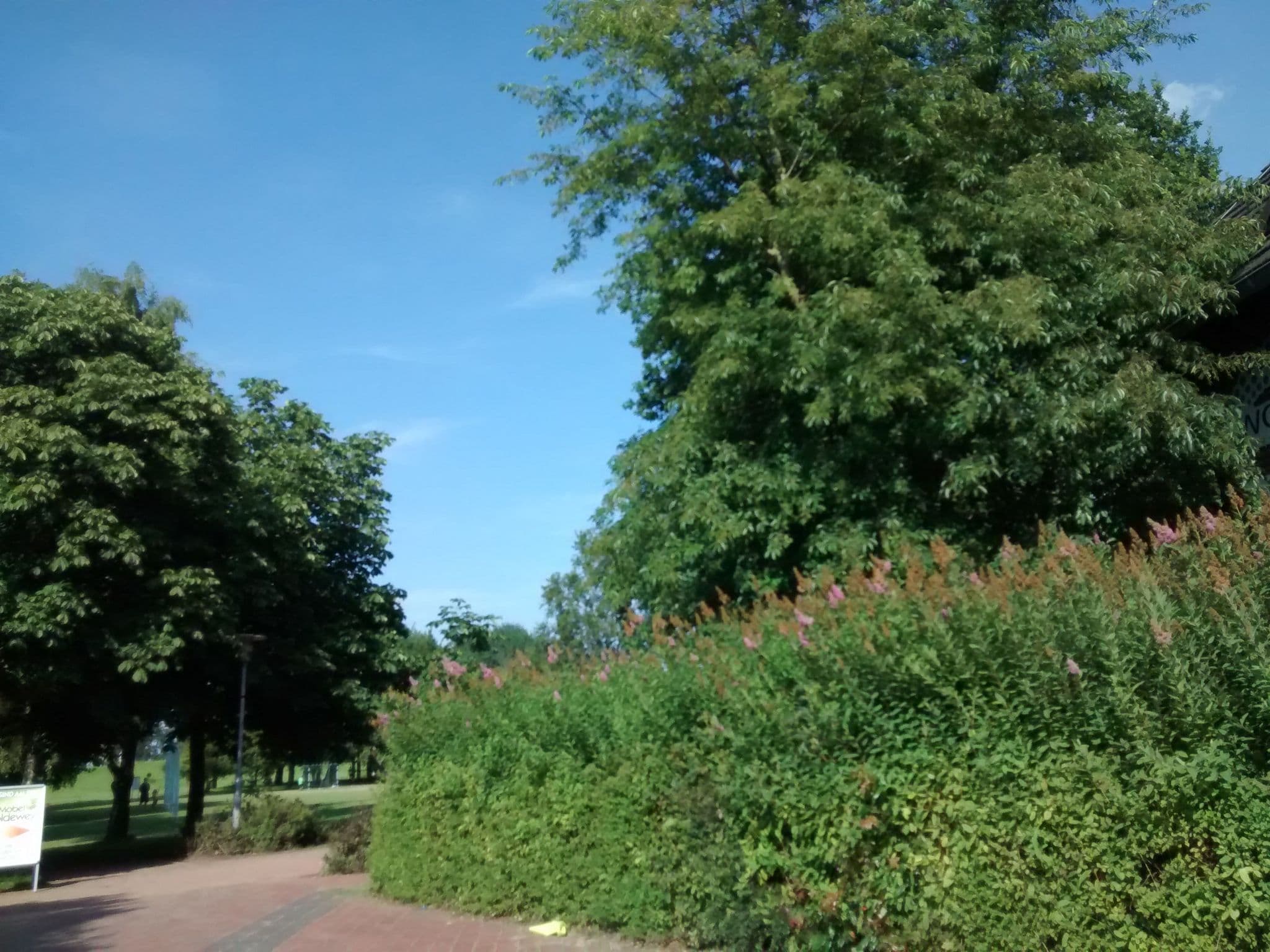 Street view near Dangasthus, Varel — © 48d9dc (CC BY-SA · Mapillary)