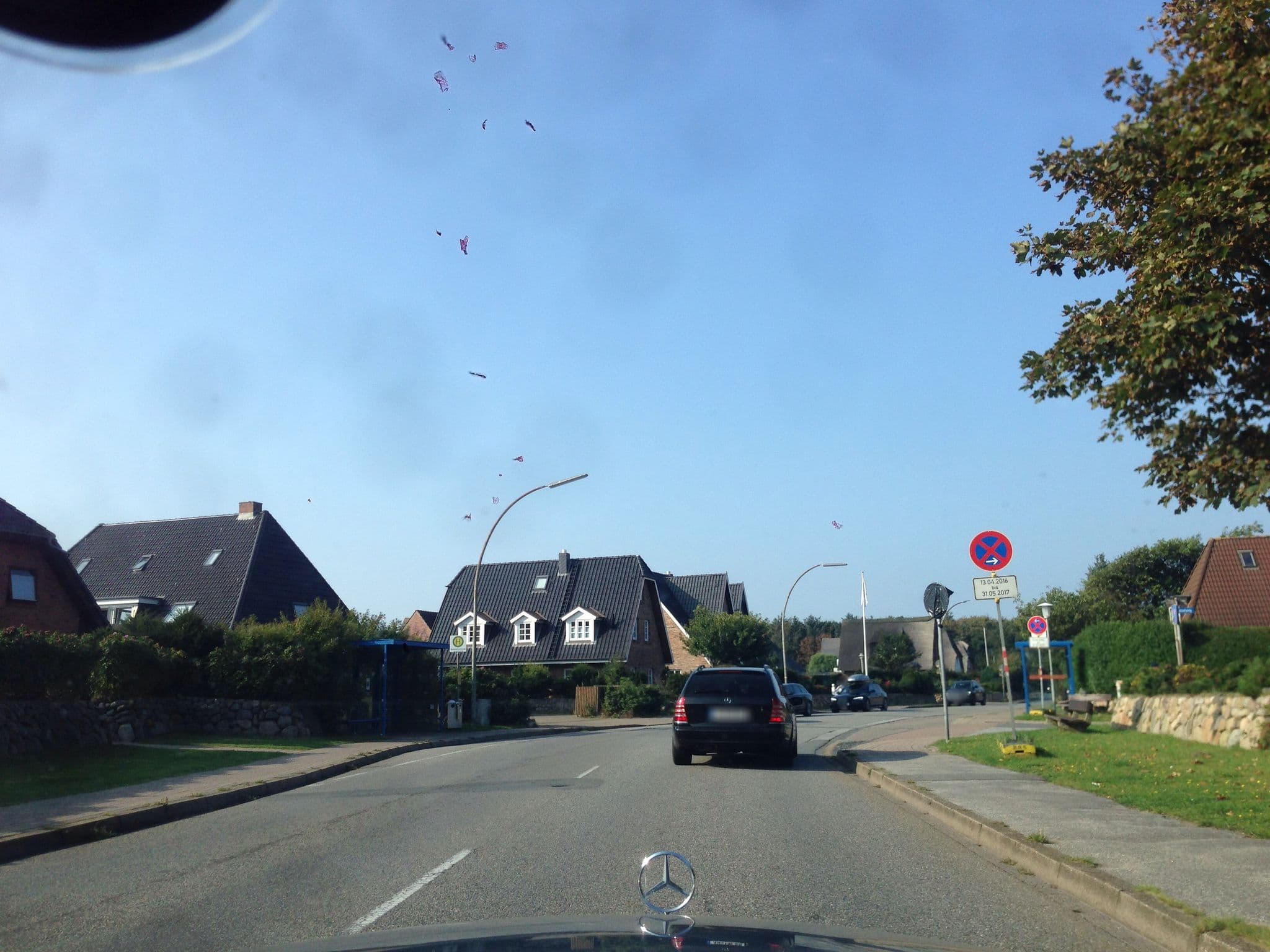 Street view near Holidaycheck-Sylt, Westerland — © mjay (CC BY-SA · Mapillary)