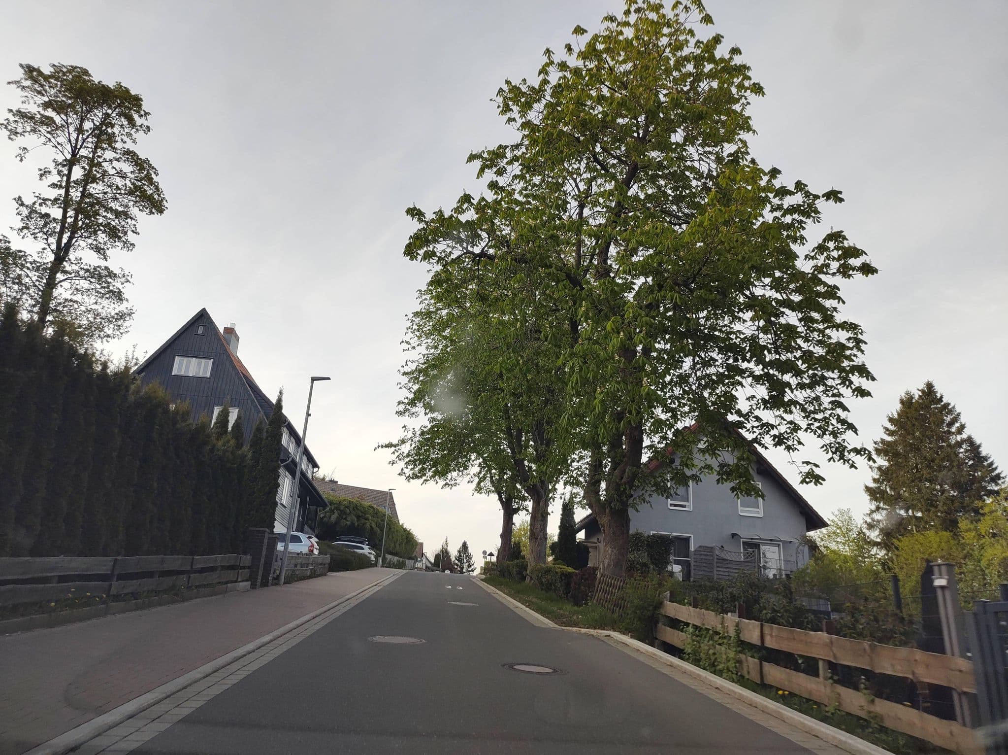 Street view near Christine Schmidt, Wildemann — © thetornado76 (CC BY-SA · Mapillary)
