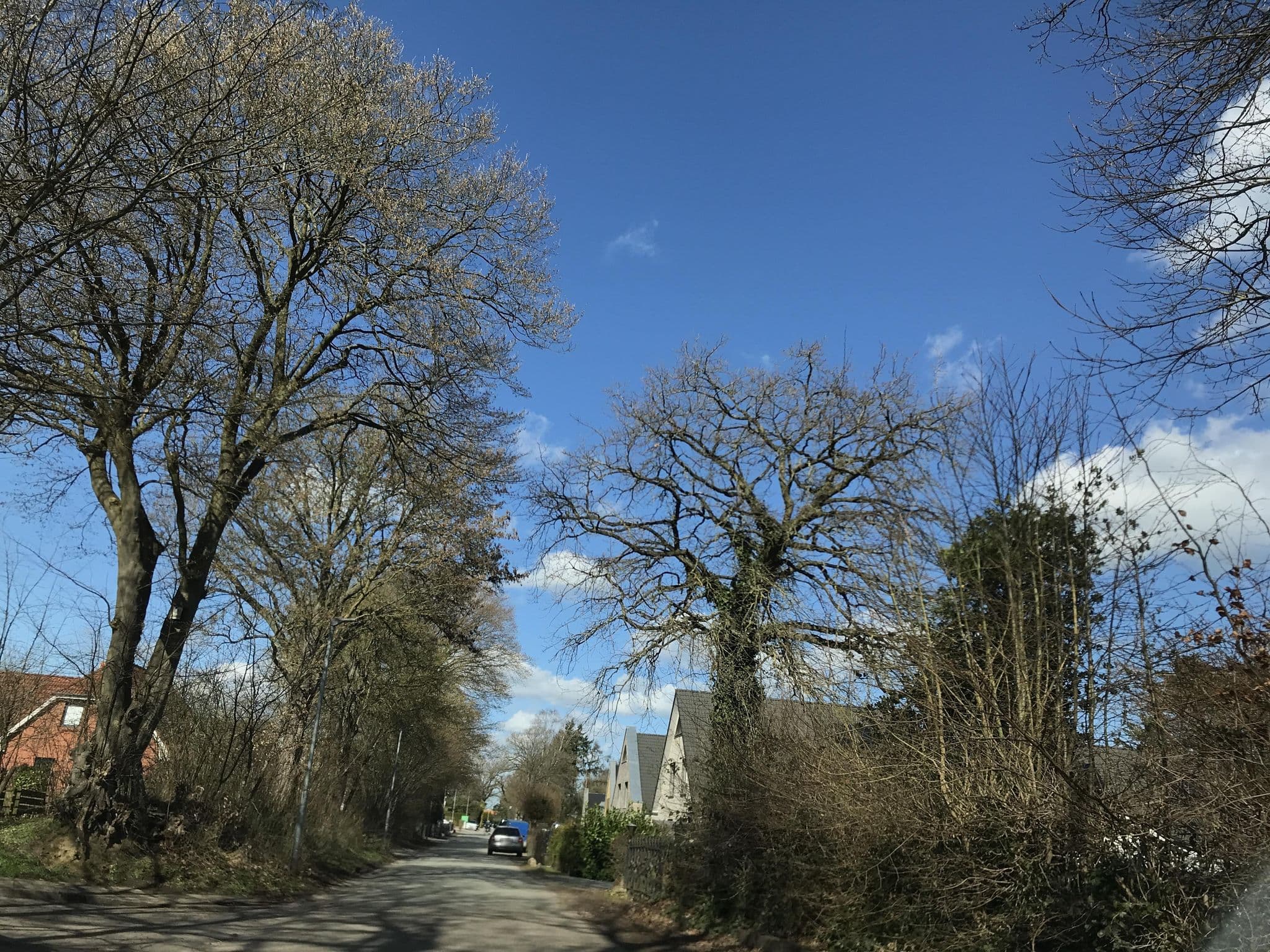 Street view near Gästehaus Nixdorf, Timmendorfer Strand — © juliansaa_ (CC BY-SA · Mapillary)