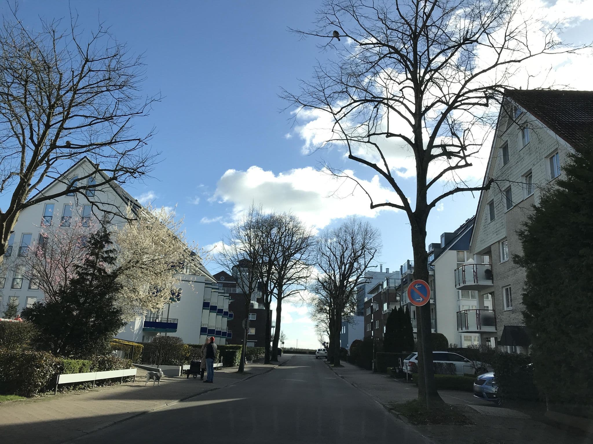 Street view near Strandliebe, Scharbeutz — © juliansaa_ (CC BY-SA · Mapillary)