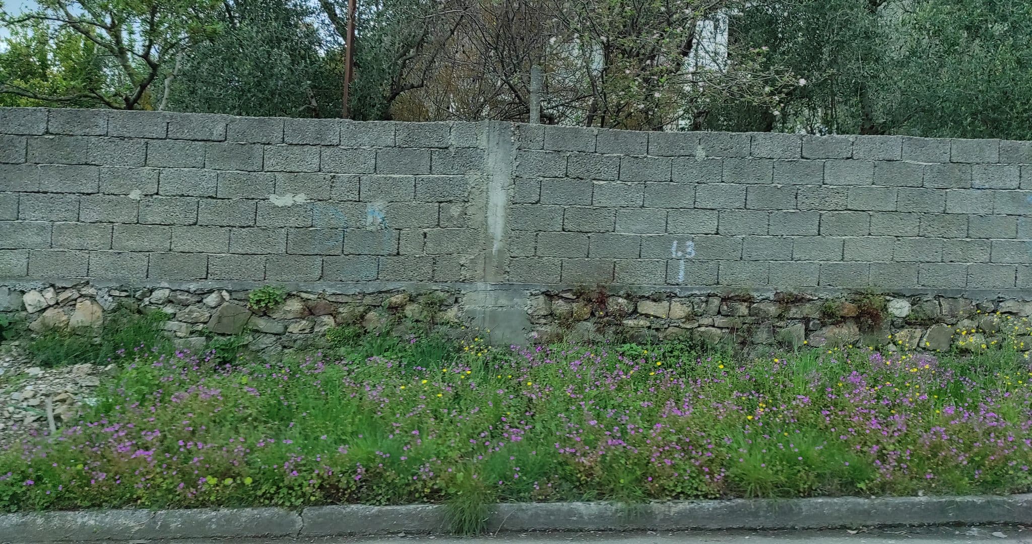 Street view near Fantasia, Shkodër — © denisju_osm (CC BY-SA · Mapillary)