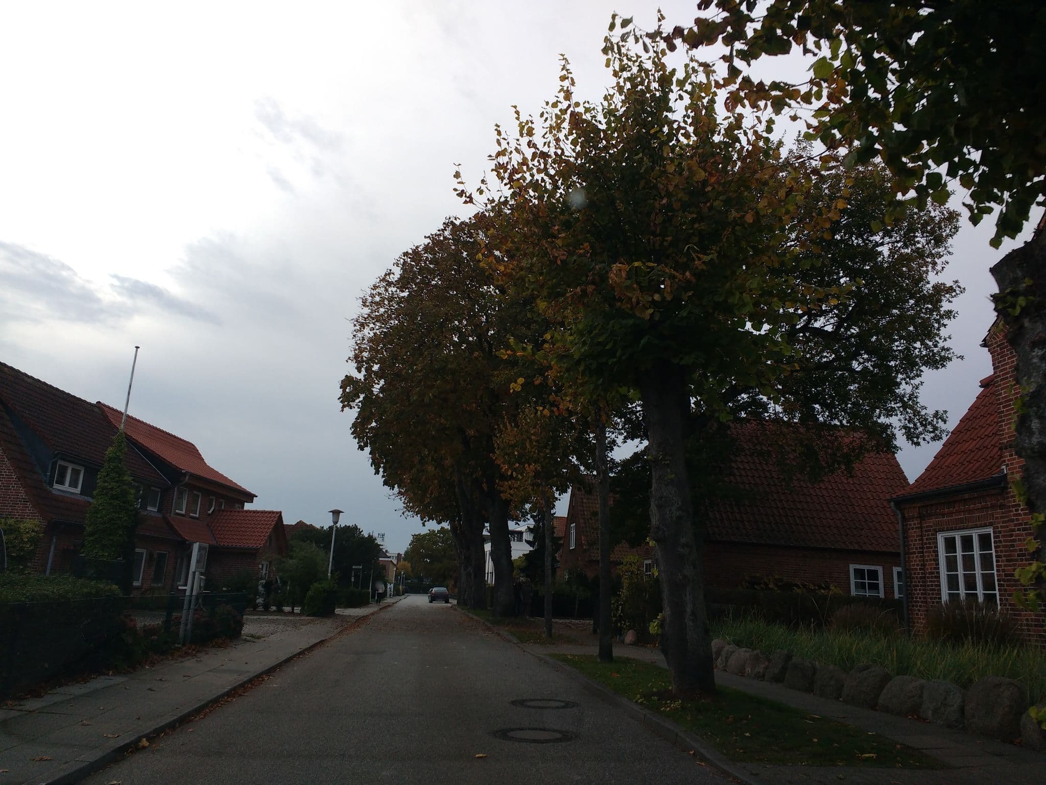 Street view near Ferienhaus Tamm-Voß, Grömitz — © thetornado76 (CC BY-SA · Mapillary)