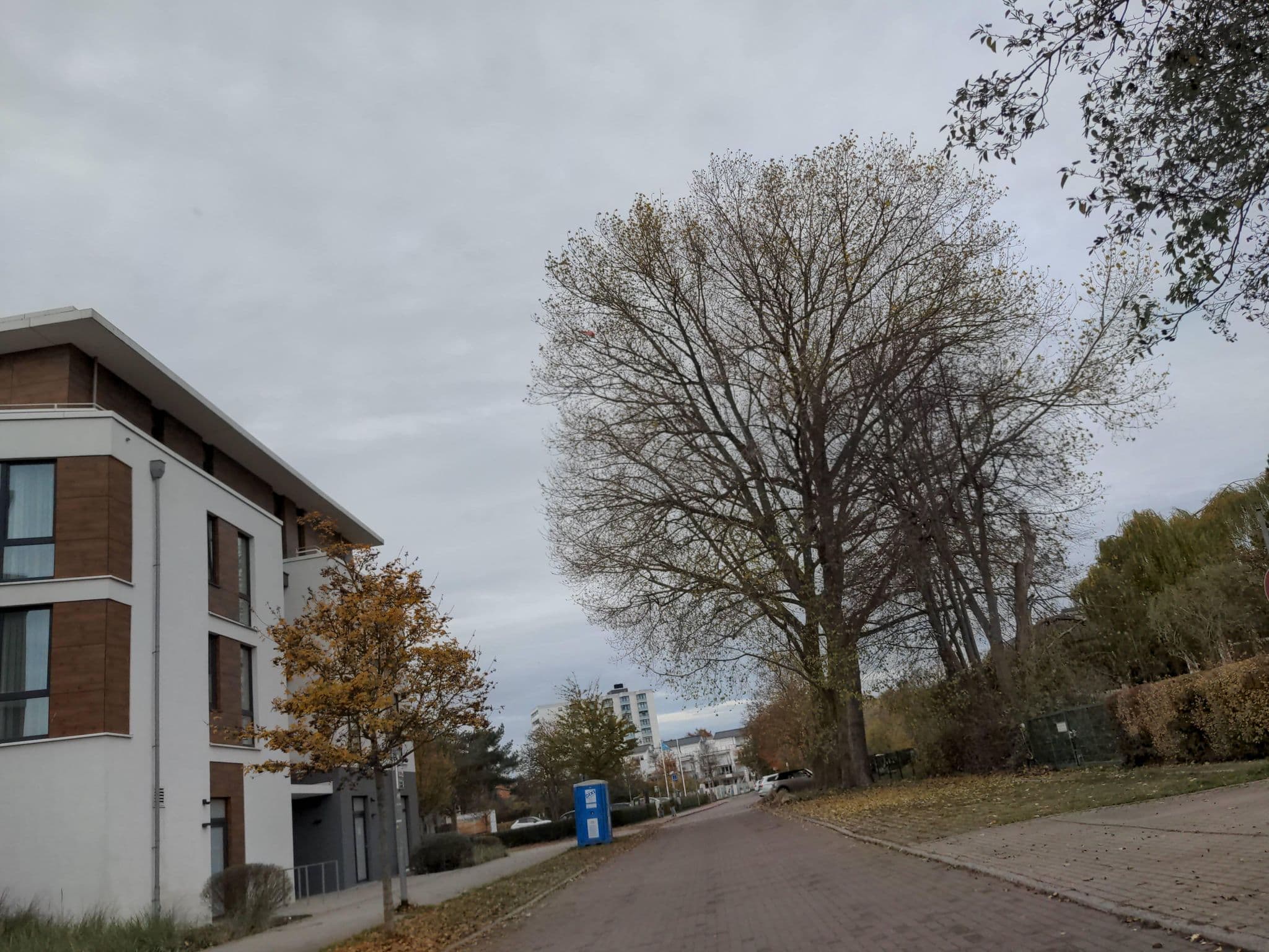 Street view near Südkap Pelzerhaken, Neustadt in Holstein — © rasmustravemnd (CC BY-SA · Mapillary)